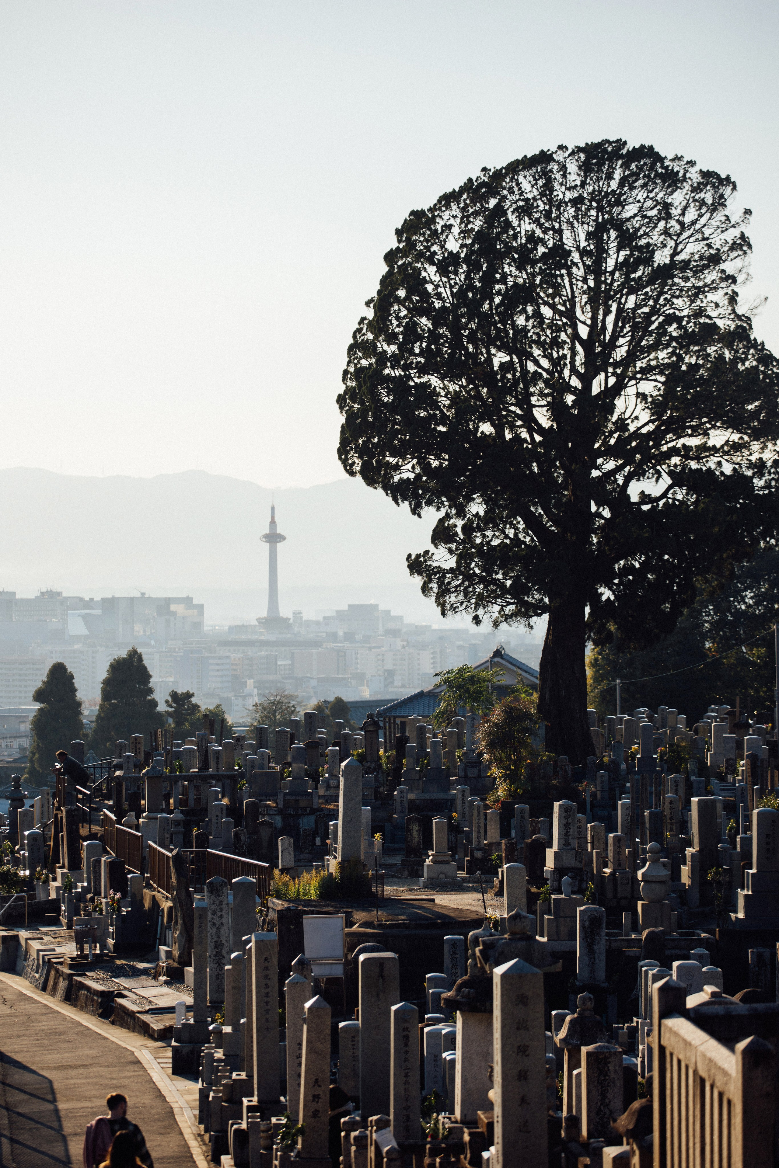 Япония. Главная