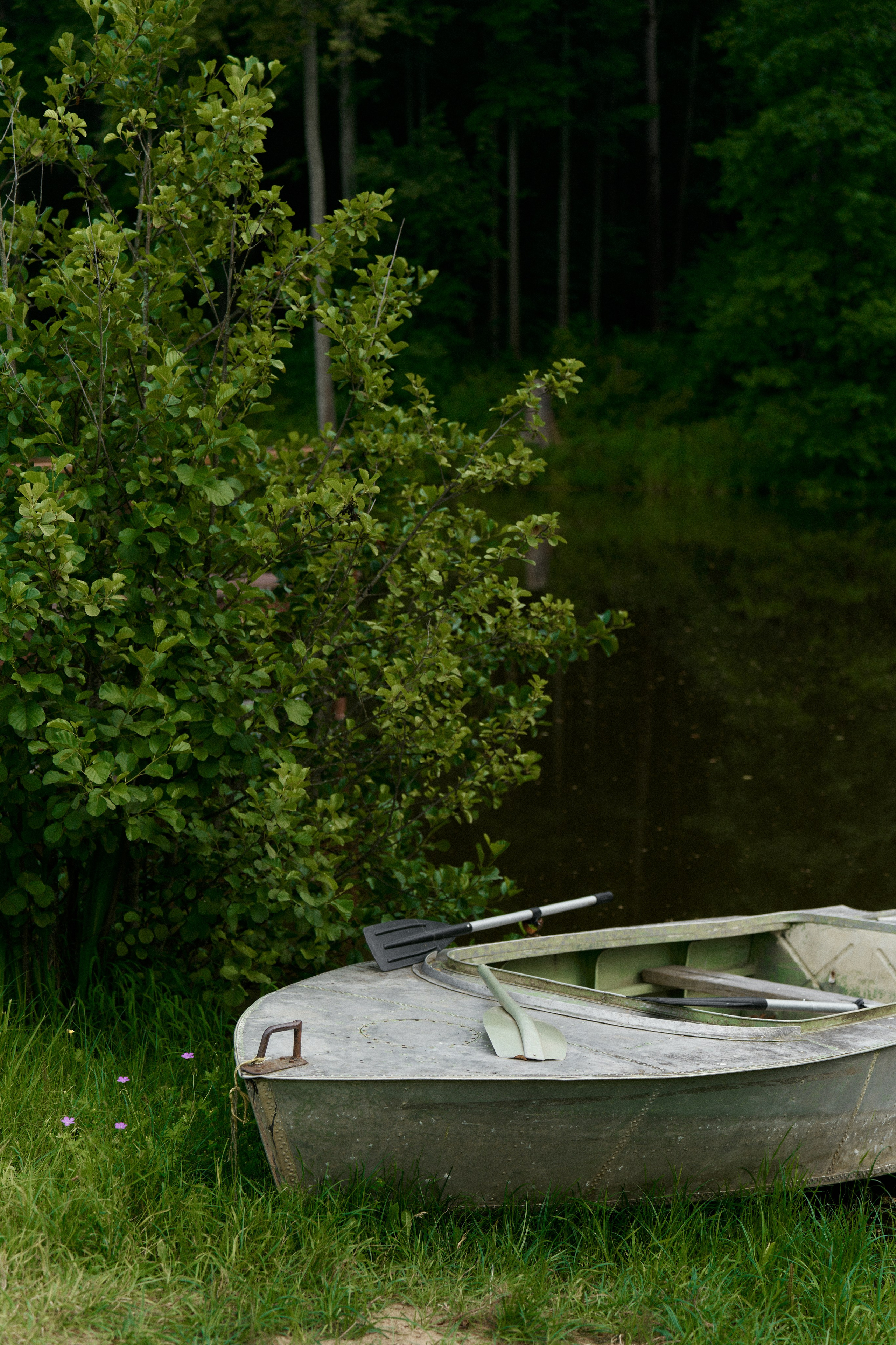 ARTUR & TAISIYA. Свадебный фотограф Жучкова Елизавета в Москве