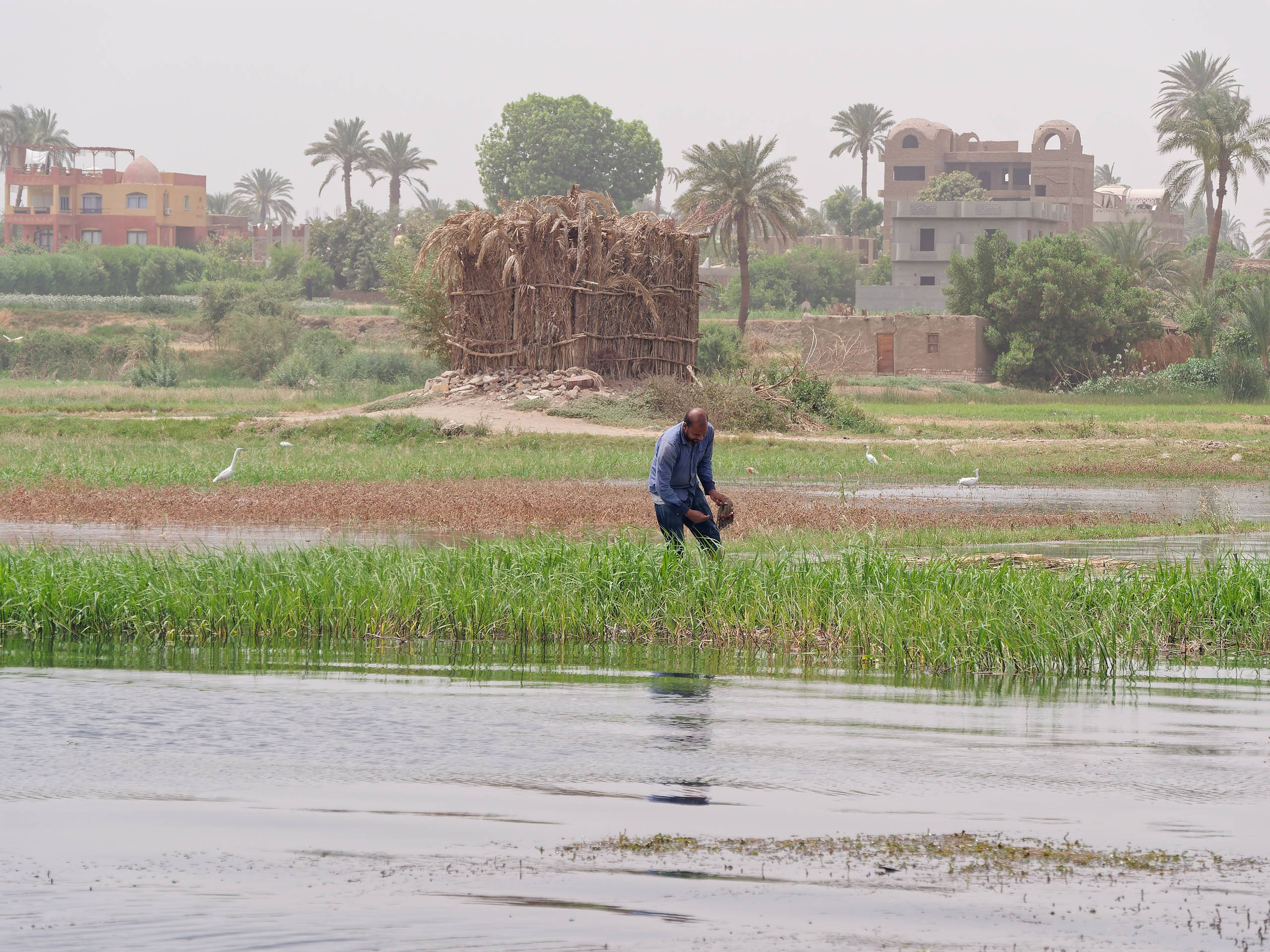 Луксор 2022, Нил, Долина царей. Избранные фотографии