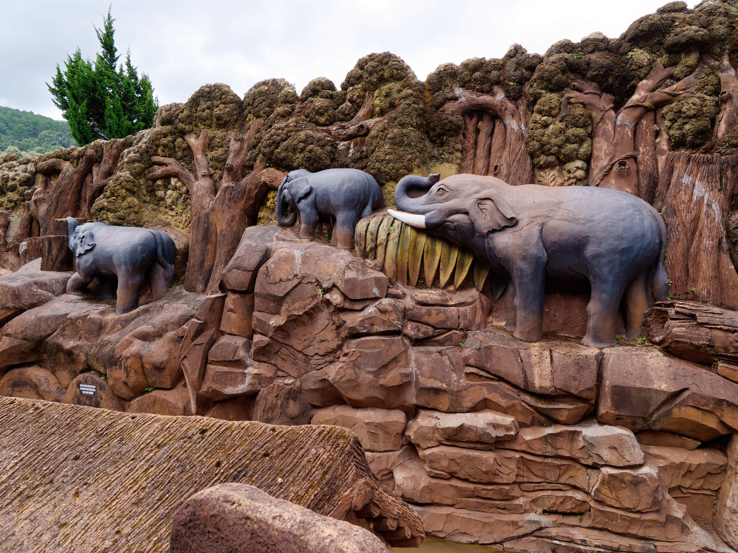 Далат 2023. Избранные фотографии