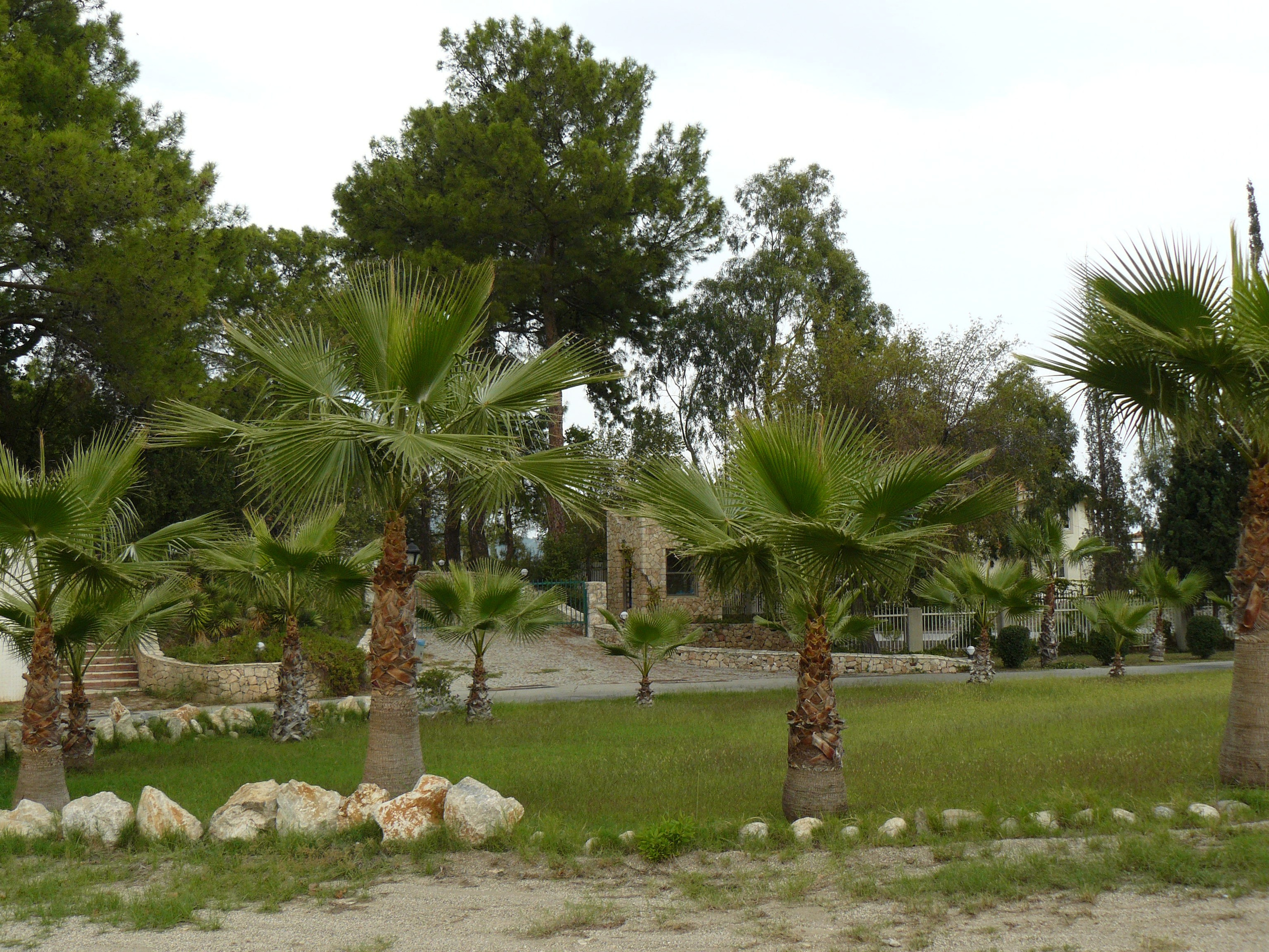 Кемер, Чамьюва 2008. Избранные фотографии