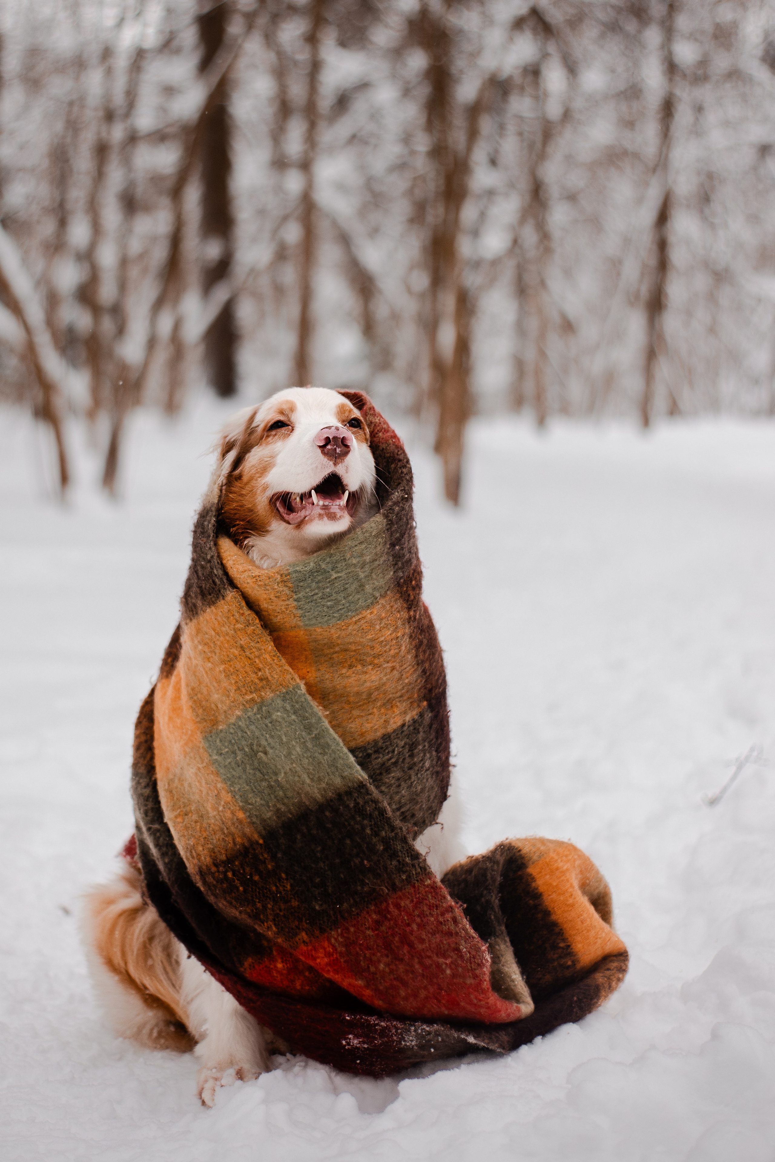 Юля и Ума. Фотограф-анималист Мария Баркевич | Москва