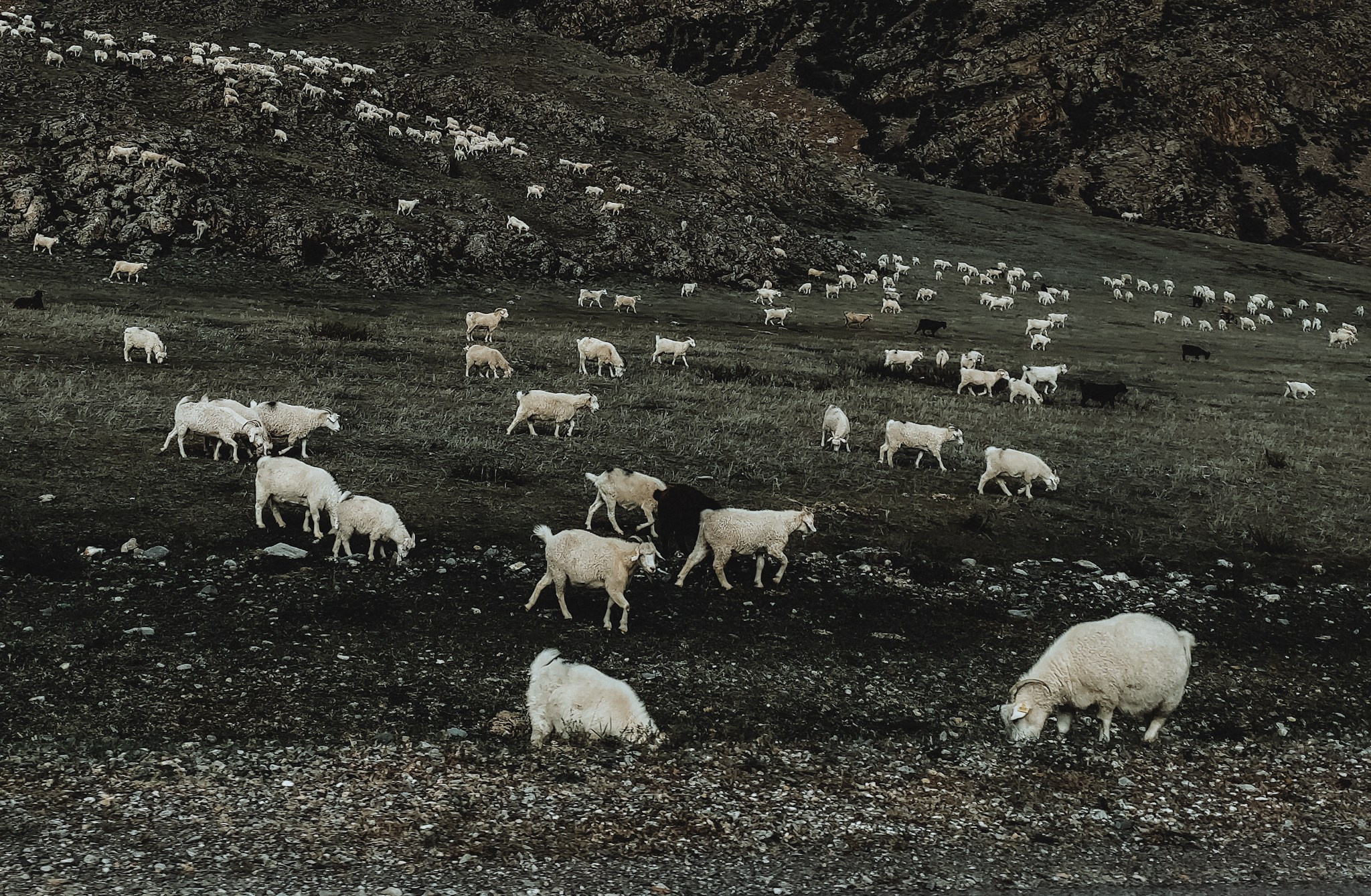 Алтай (мобилография). Фотограф в Москве, в Самаре Инна Мамонова