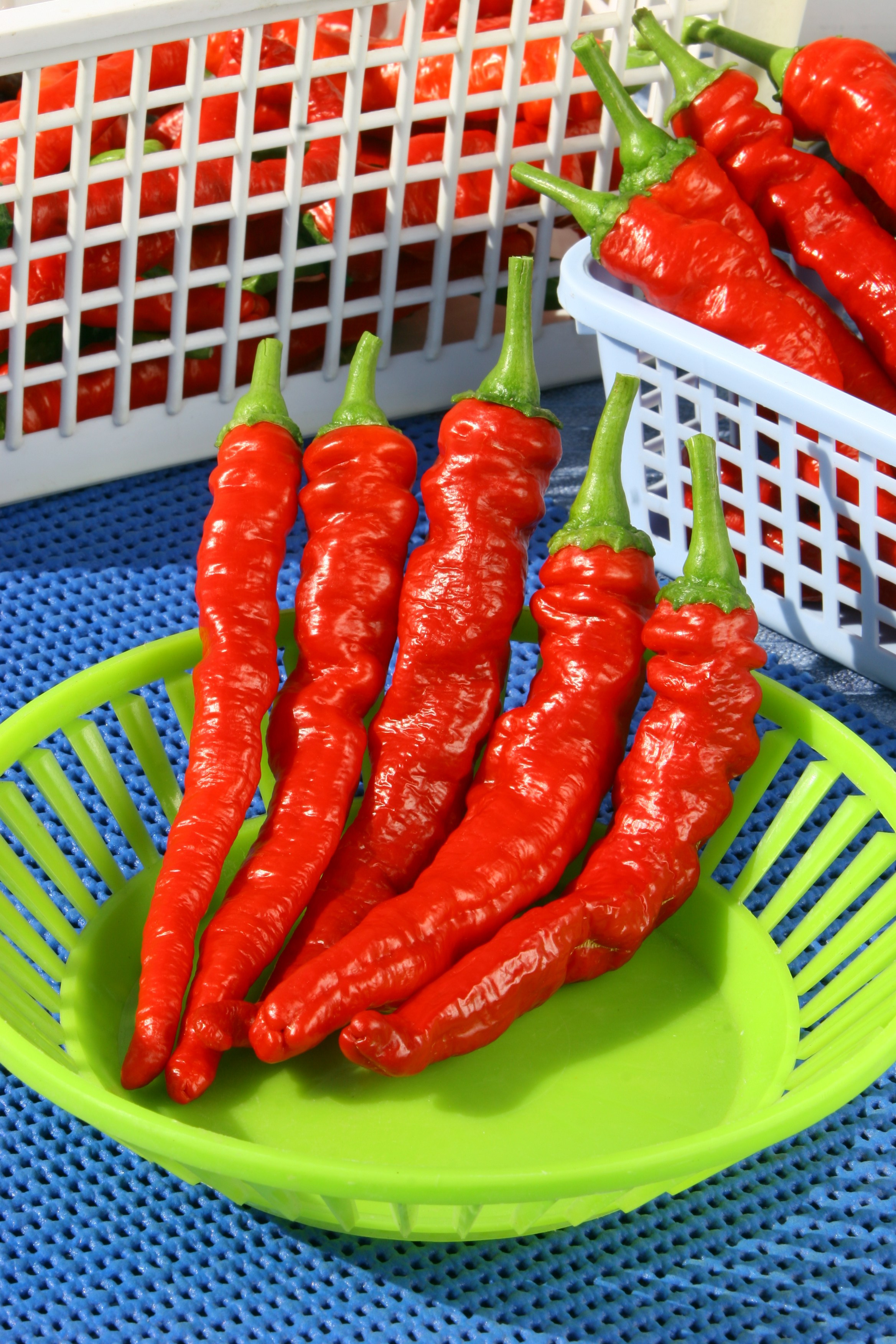 Product photography. The Website of the Photographer Vitaly Deni