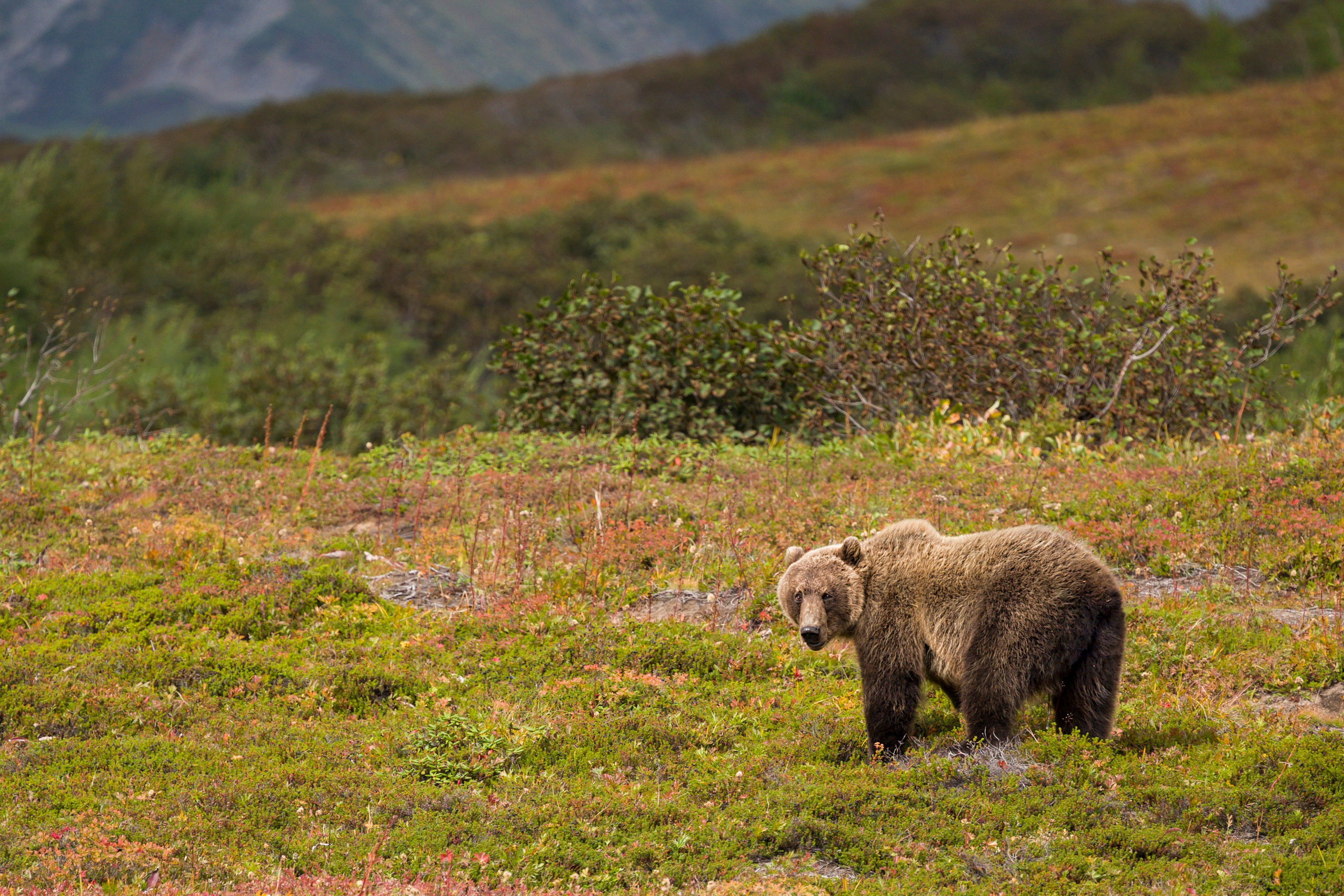 Камчатка. Портретный фотограф в Челябинске Катерина Руди