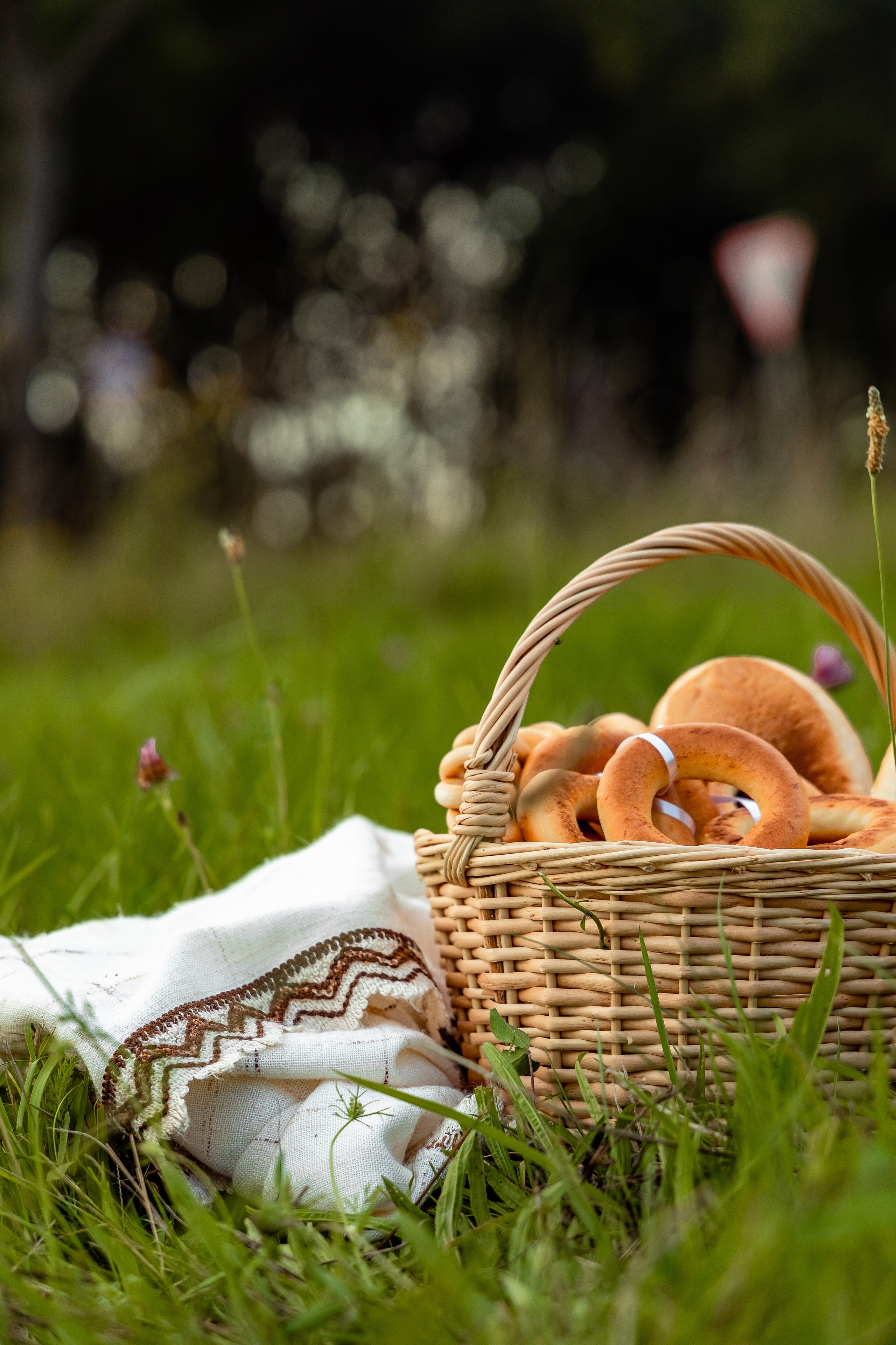 Природа. Фотограф Елена Медок Калининград