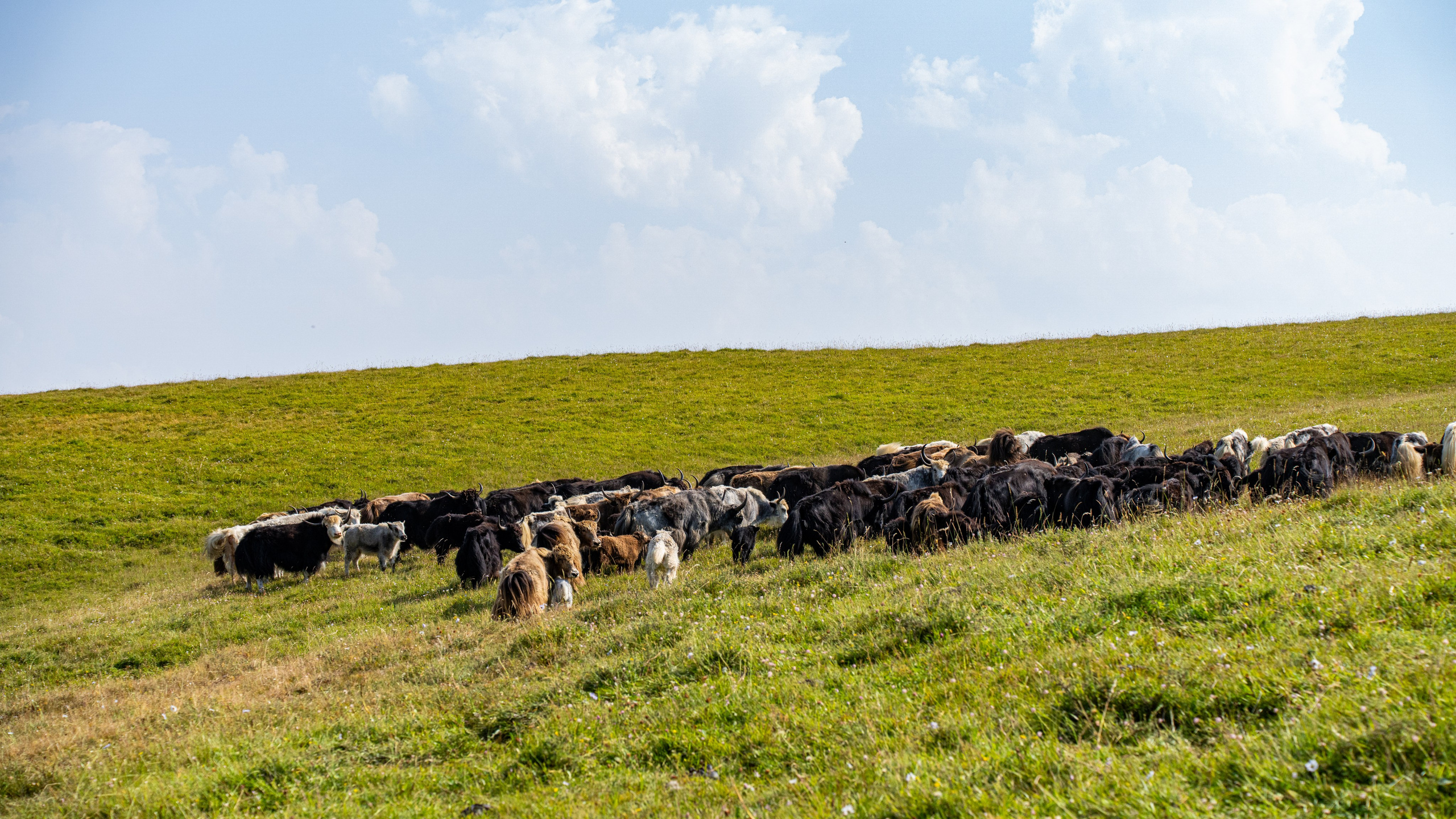 Дагестан. Фотограф в Москве. Шахабудин
