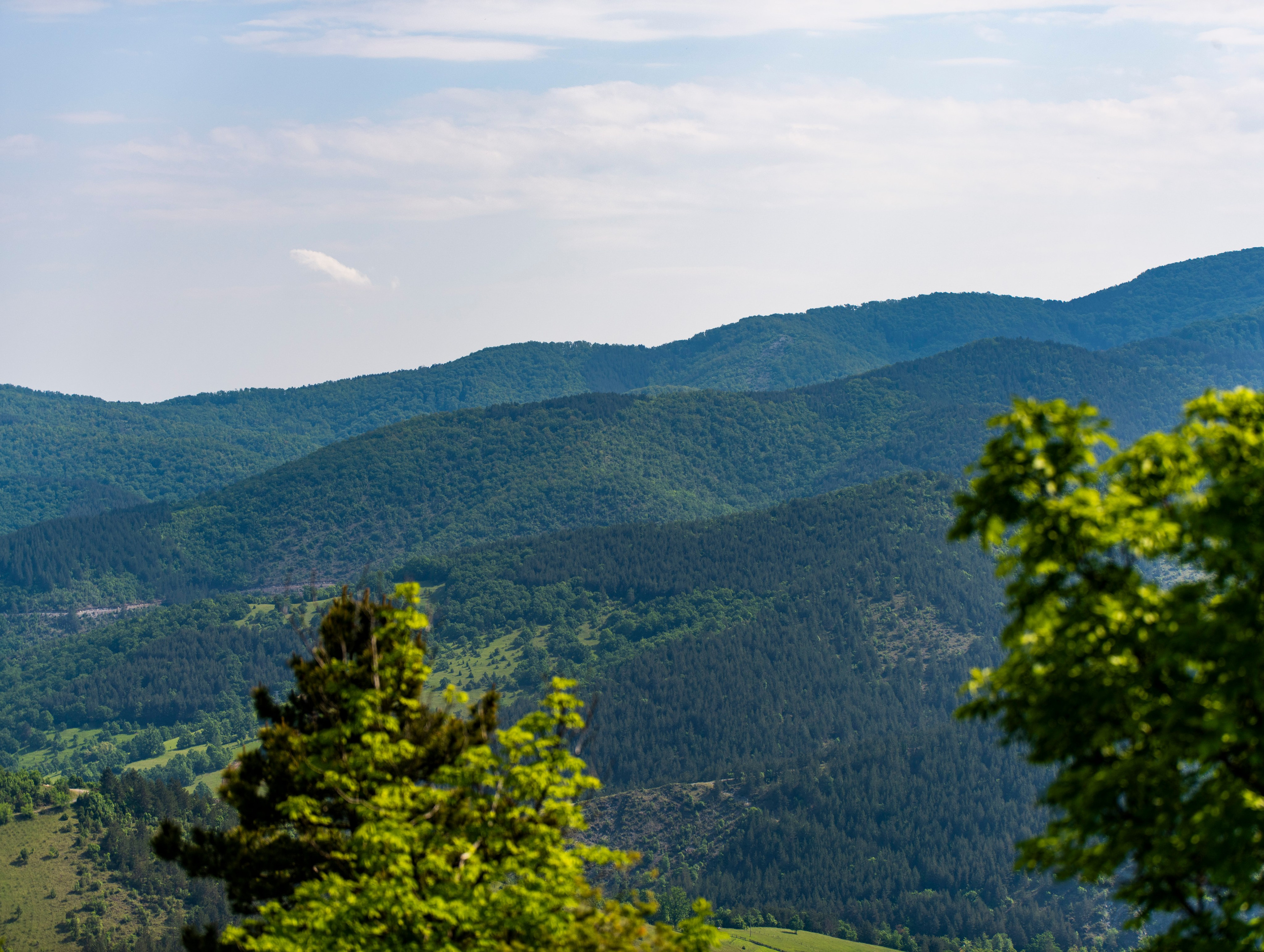 Столови. Сербия. Фотограф в Москве. Шахабудин