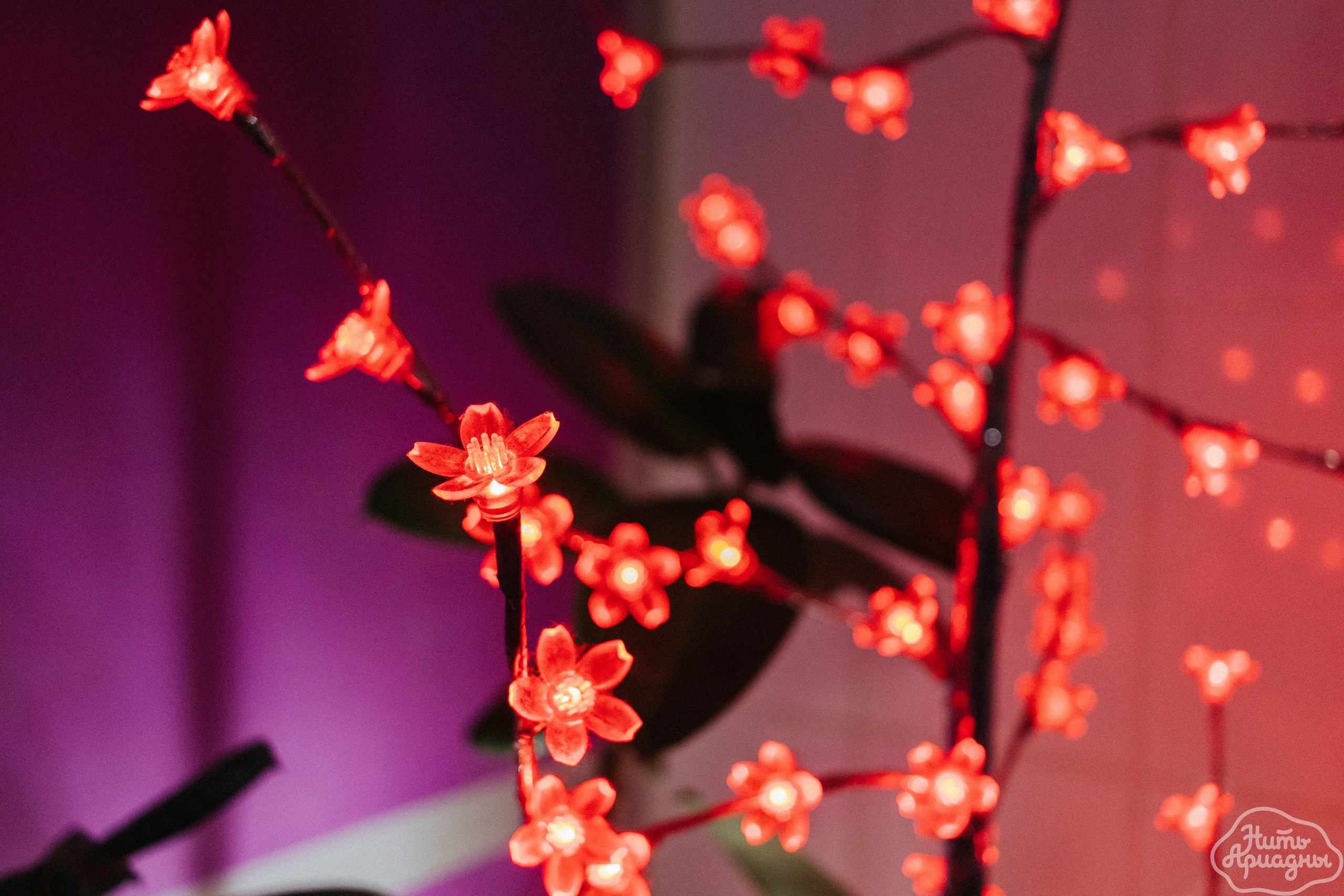 Детские мероприятия (квесты, лагеря, вечеринки). Коммерческий фотограф в Санкт-Петербурге (СПб) Екатерина Панчёха, Панчёшка