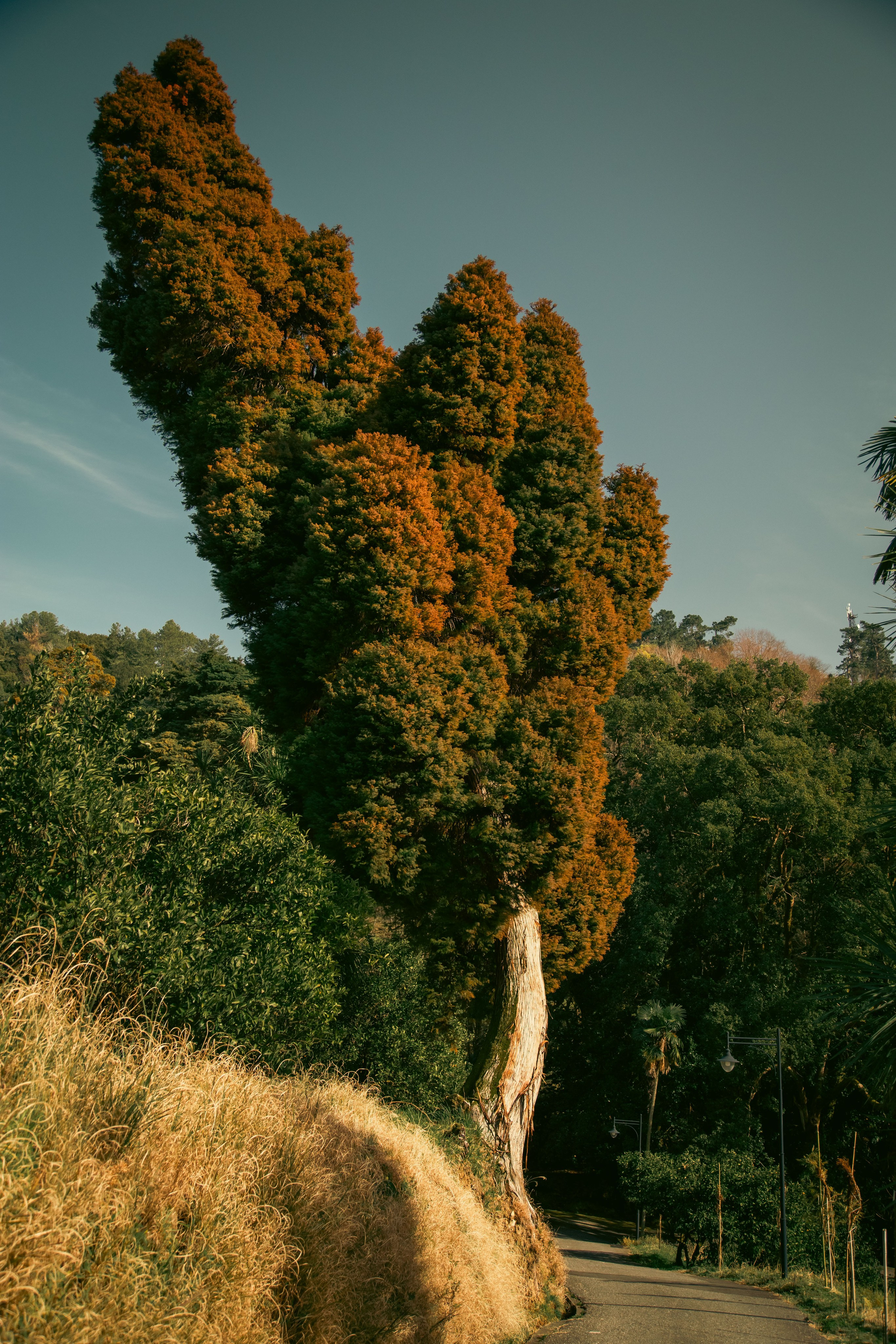Batumi. Dmitriy [KCCC] is a pretty cool photographer