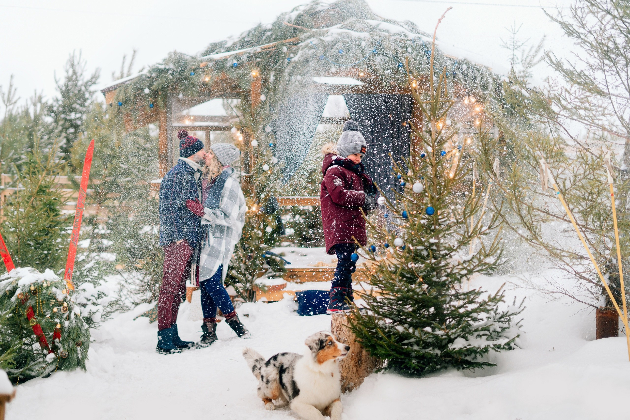 Фотопроекты. Фотографы Харины Иван и Светлана Красноярск