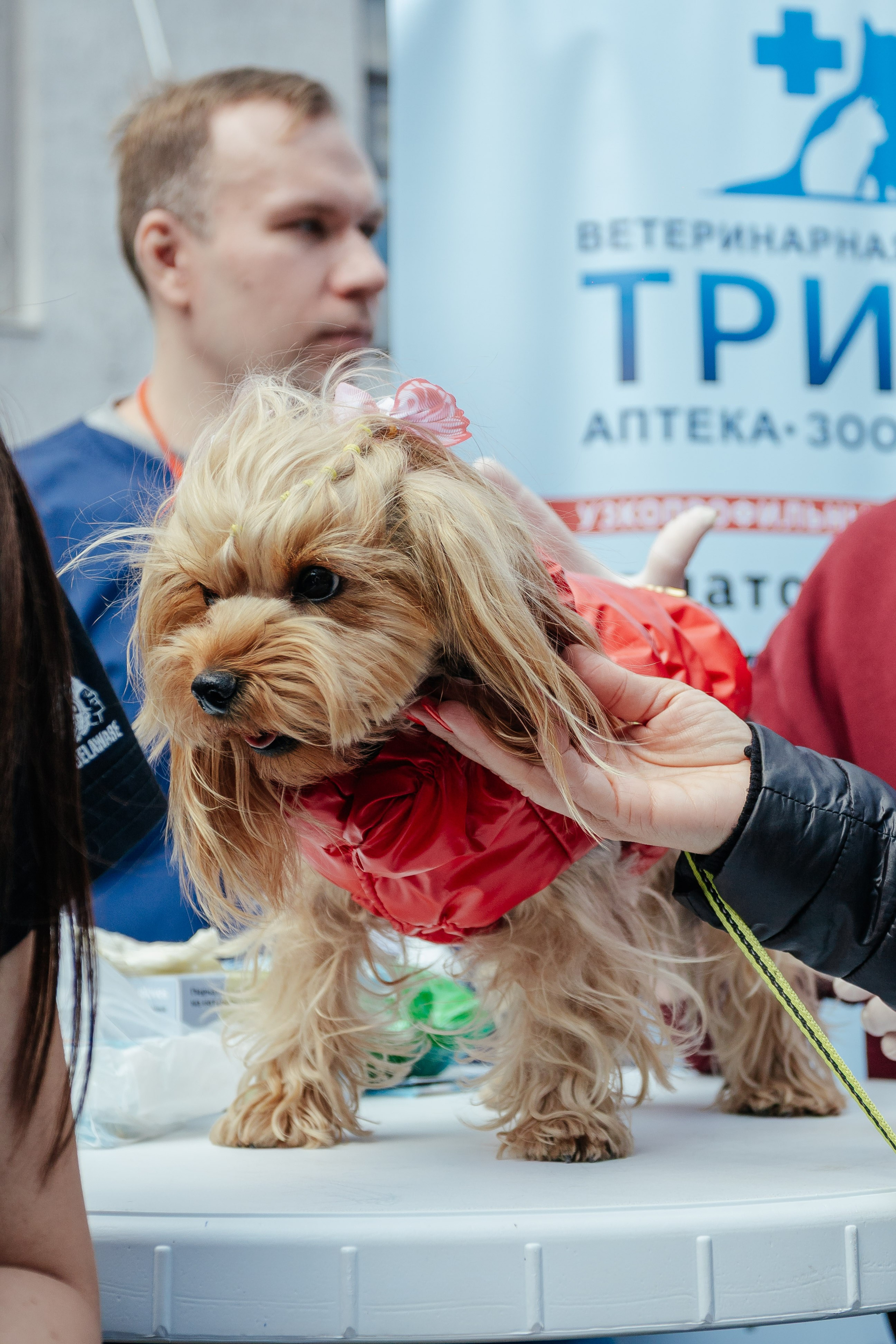 Дог фест в Инсайде. Контент фотограф в Ростове-на-Дону Мардус Павел