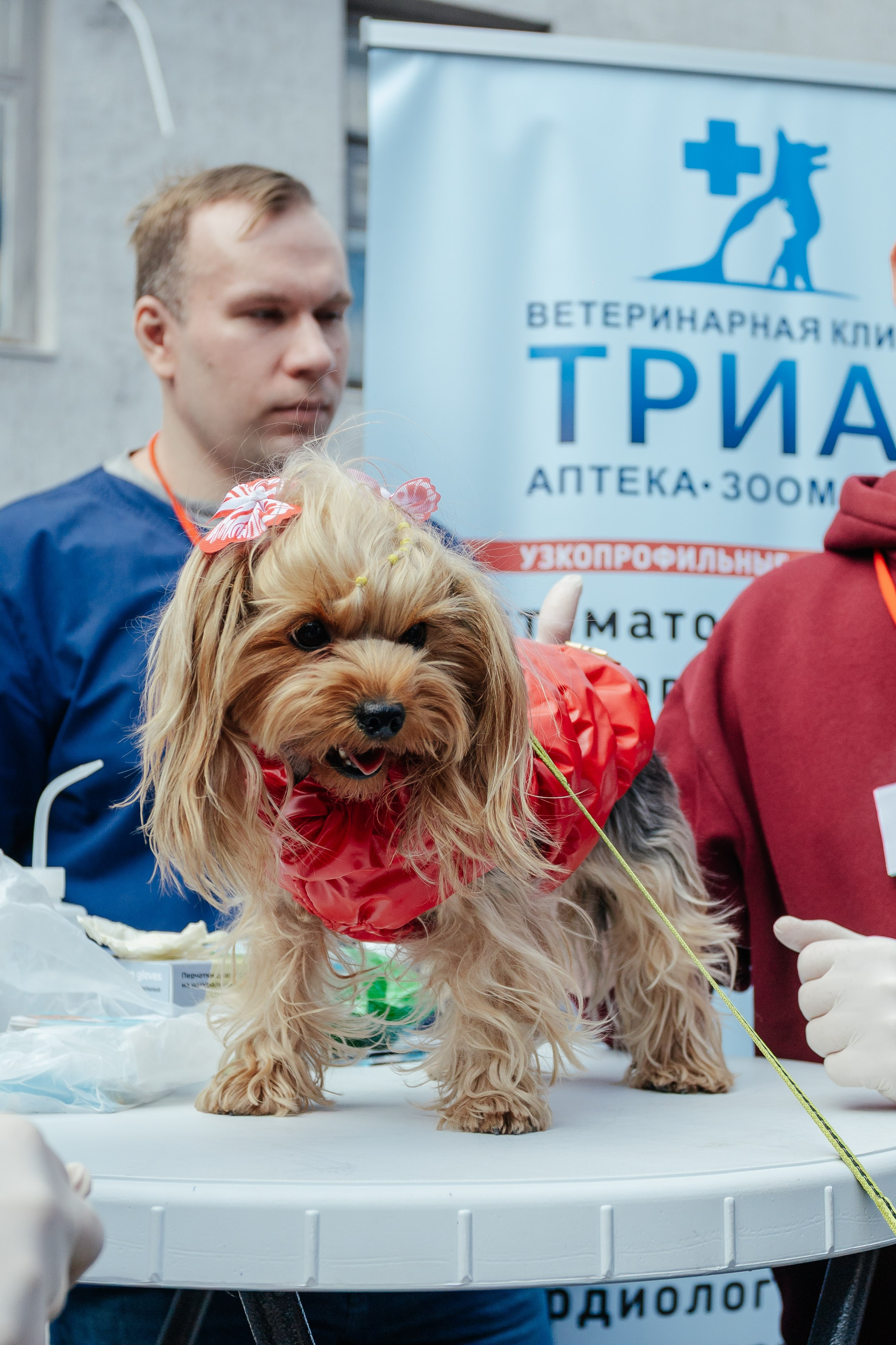 Дог фест в Инсайде. Контент фотограф в Ростове-на-Дону Мардус Павел