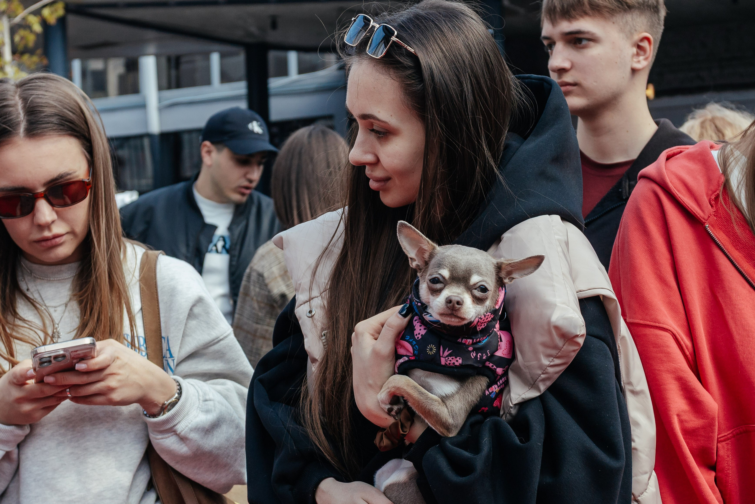 Дог фест в Инсайде. Контент фотограф в Ростове-на-Дону Мардус Павел