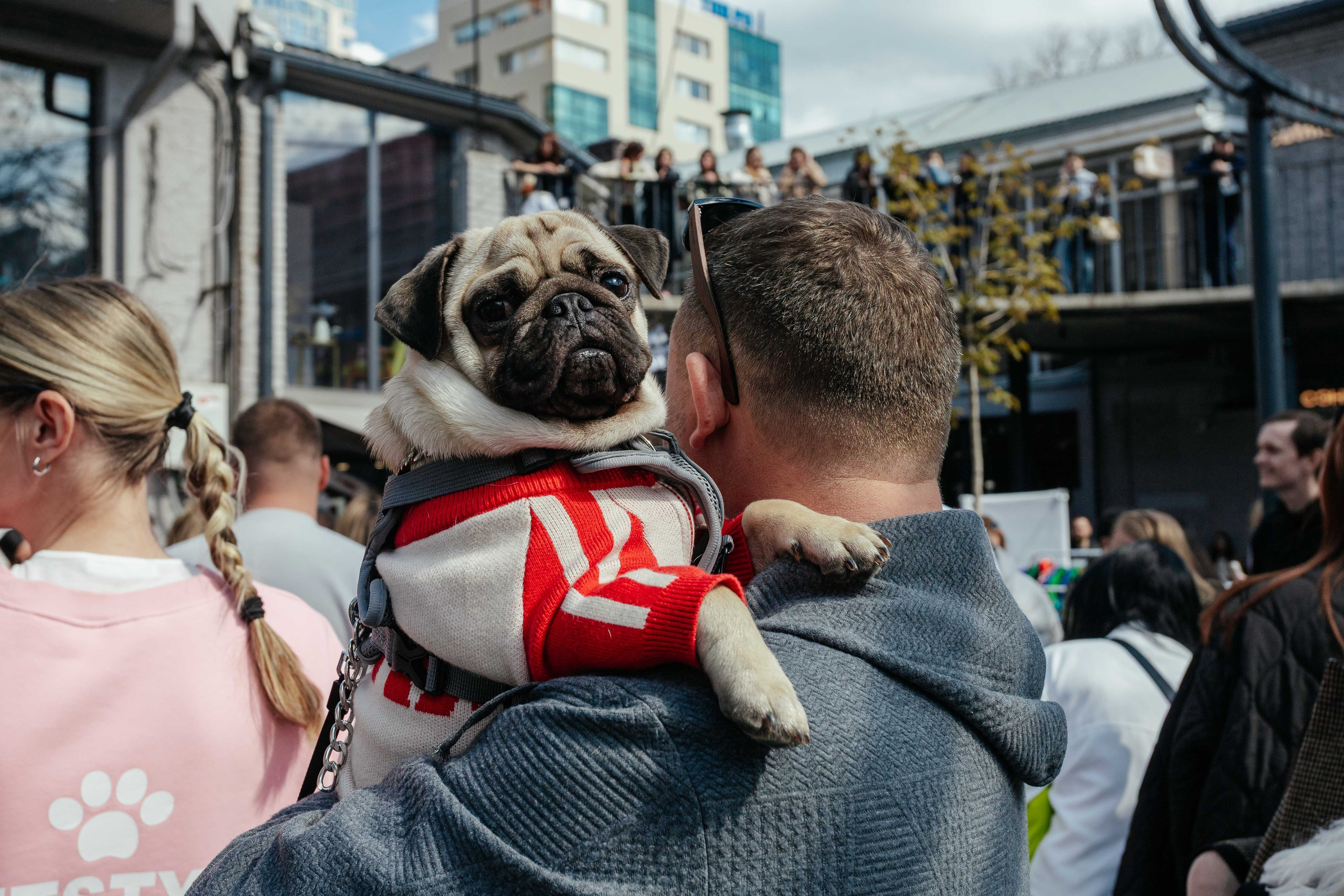 Дог фест в Инсайде. Контент фотограф в Ростове-на-Дону Мардус Павел