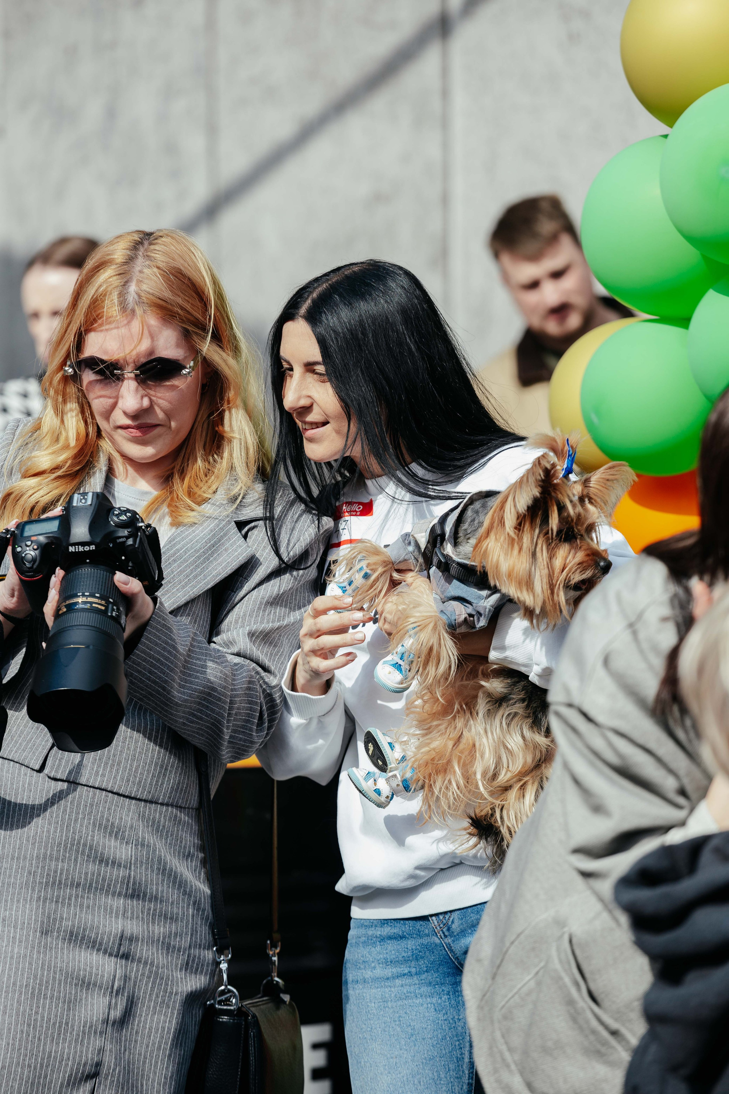 Дог фест в Инсайде. Контент фотограф в Ростове-на-Дону Мардус Павел