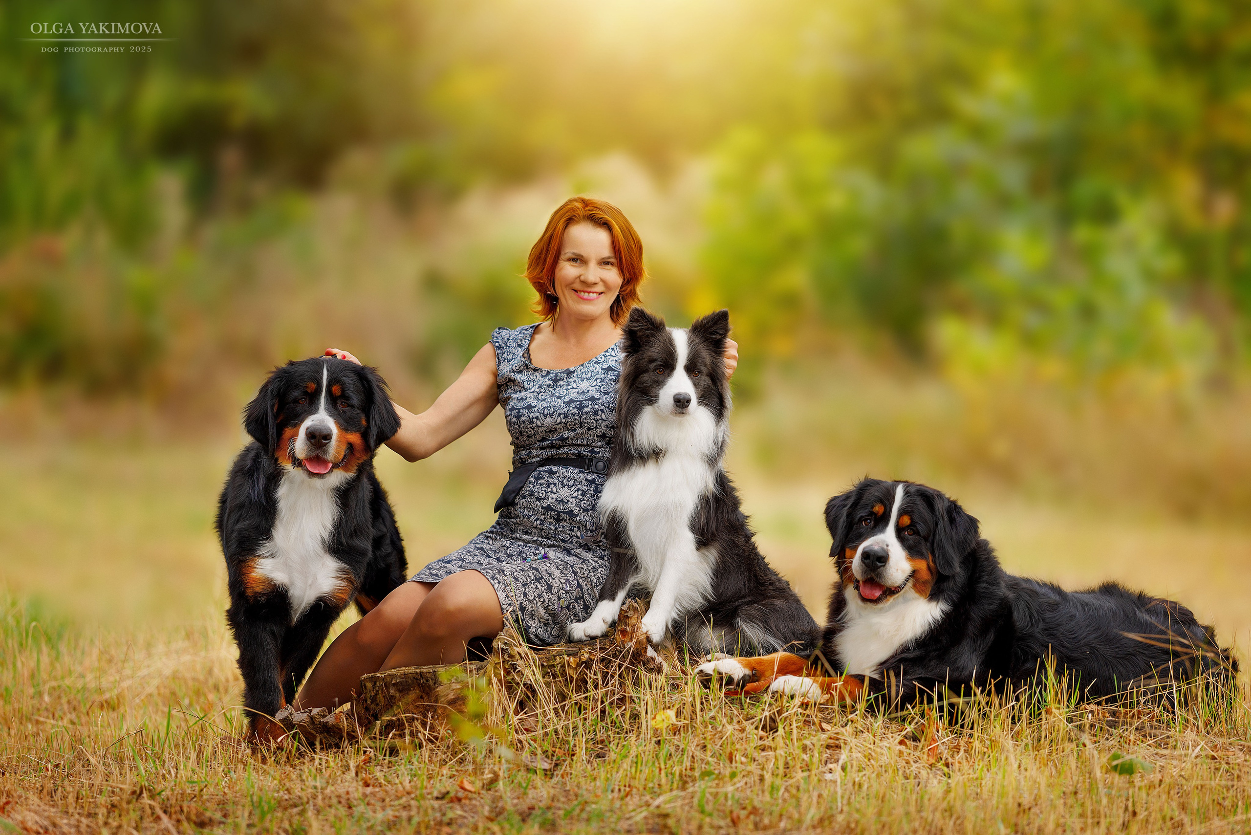 Экстерьер. Фотограф