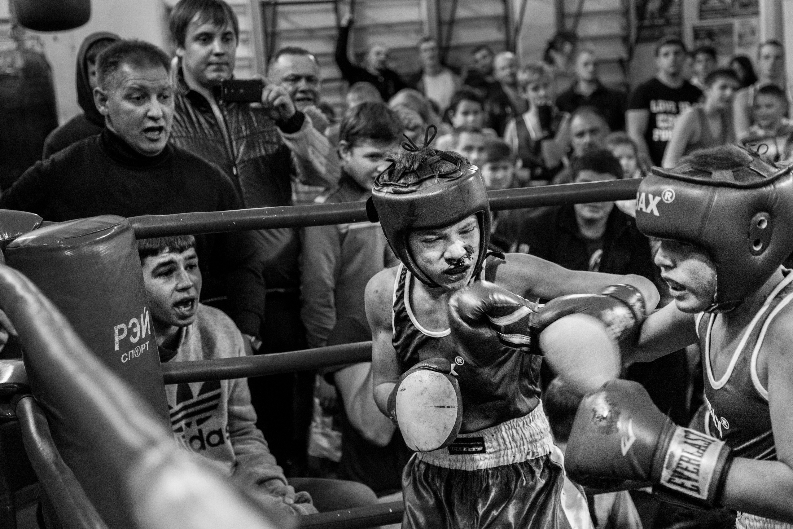 Boxing book. Главная