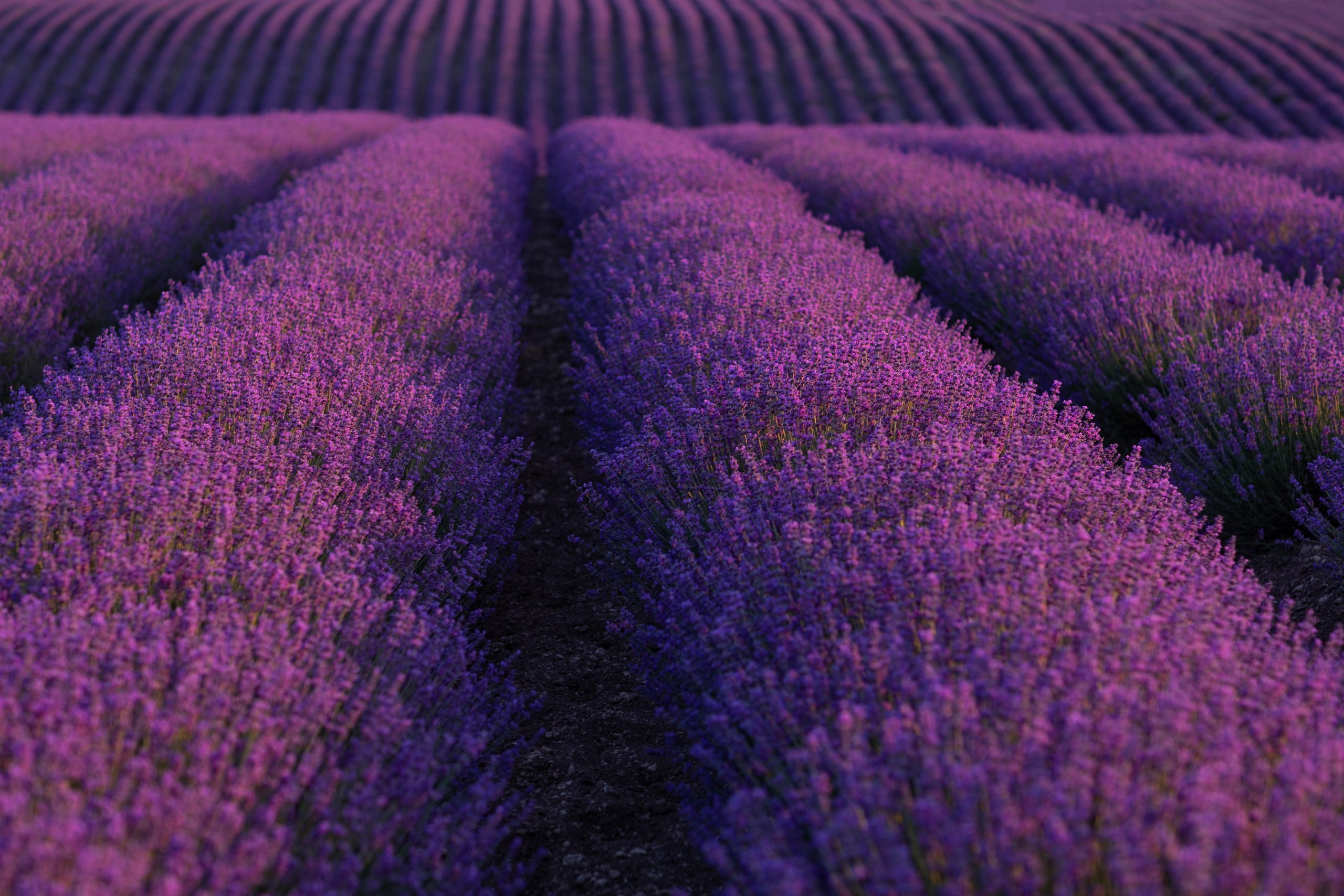 Портфолио. Фотограф Севастополь/Крым Светлана Евтушенко