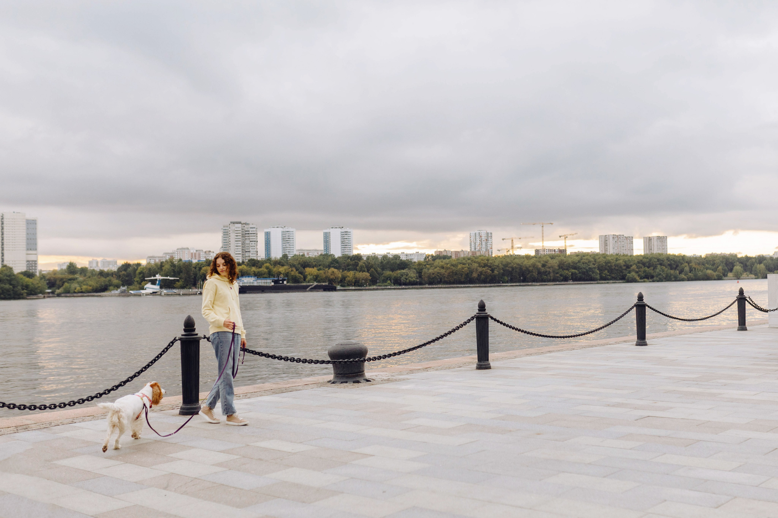 Москва / Мария и спаниель Вега. Фотограф Кузина Вера