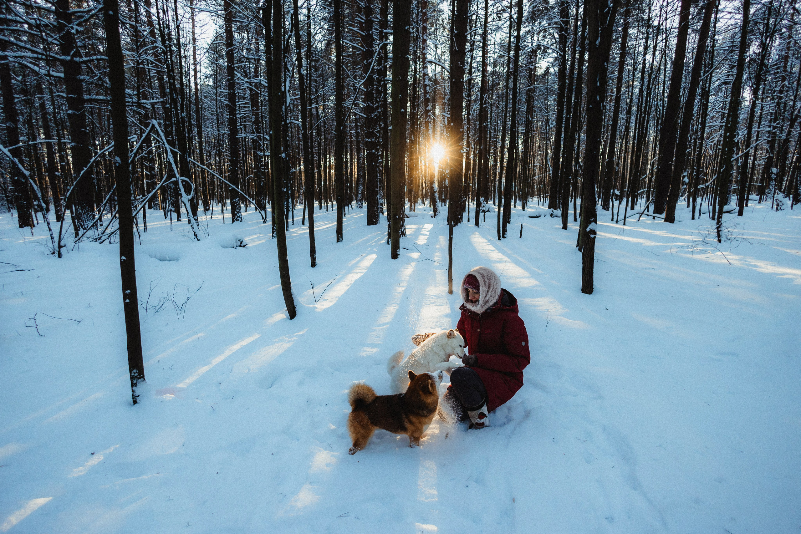 Шед, Цири и Ира