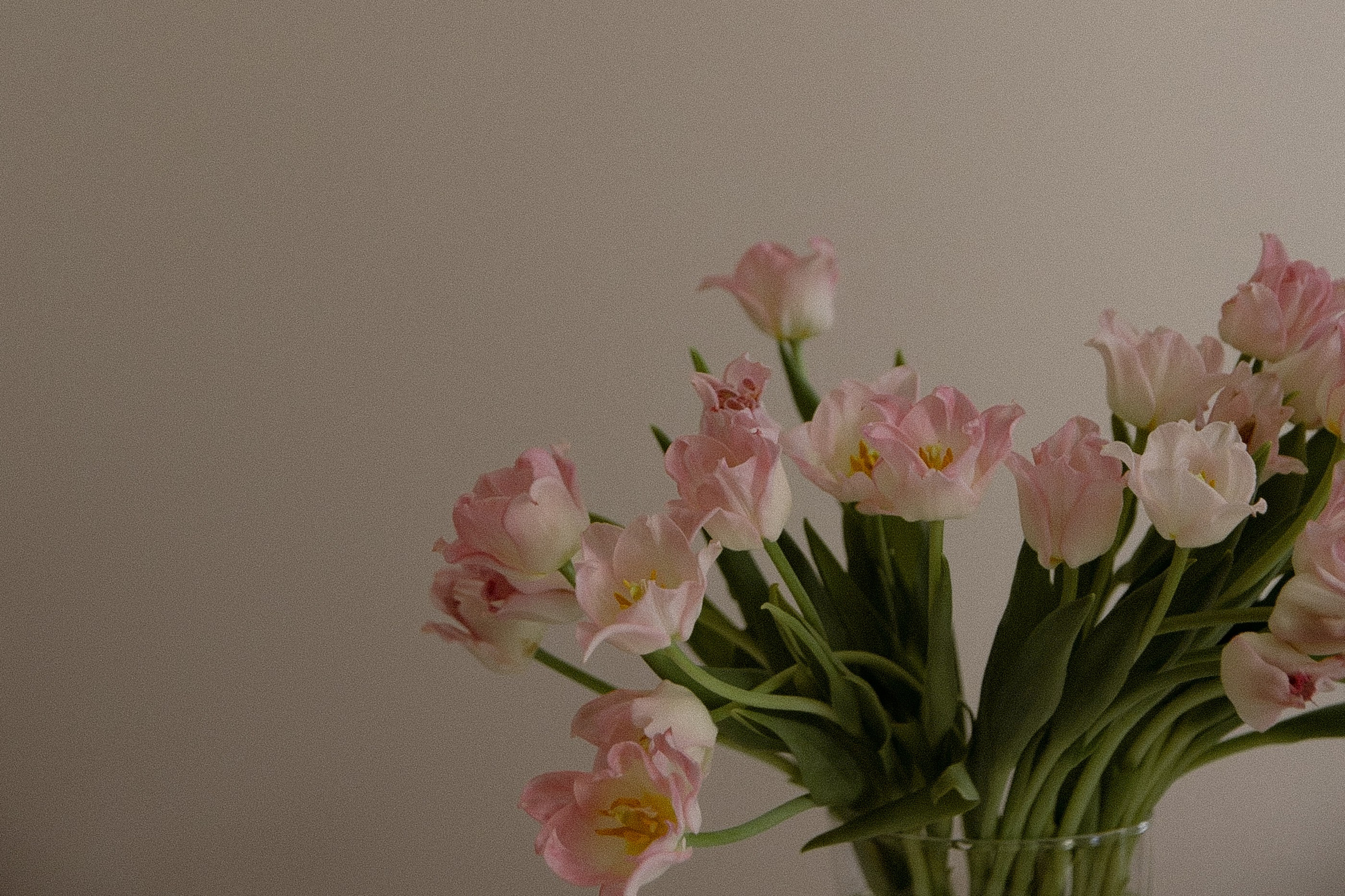 Шепот. ROMA GORBATOVSKY