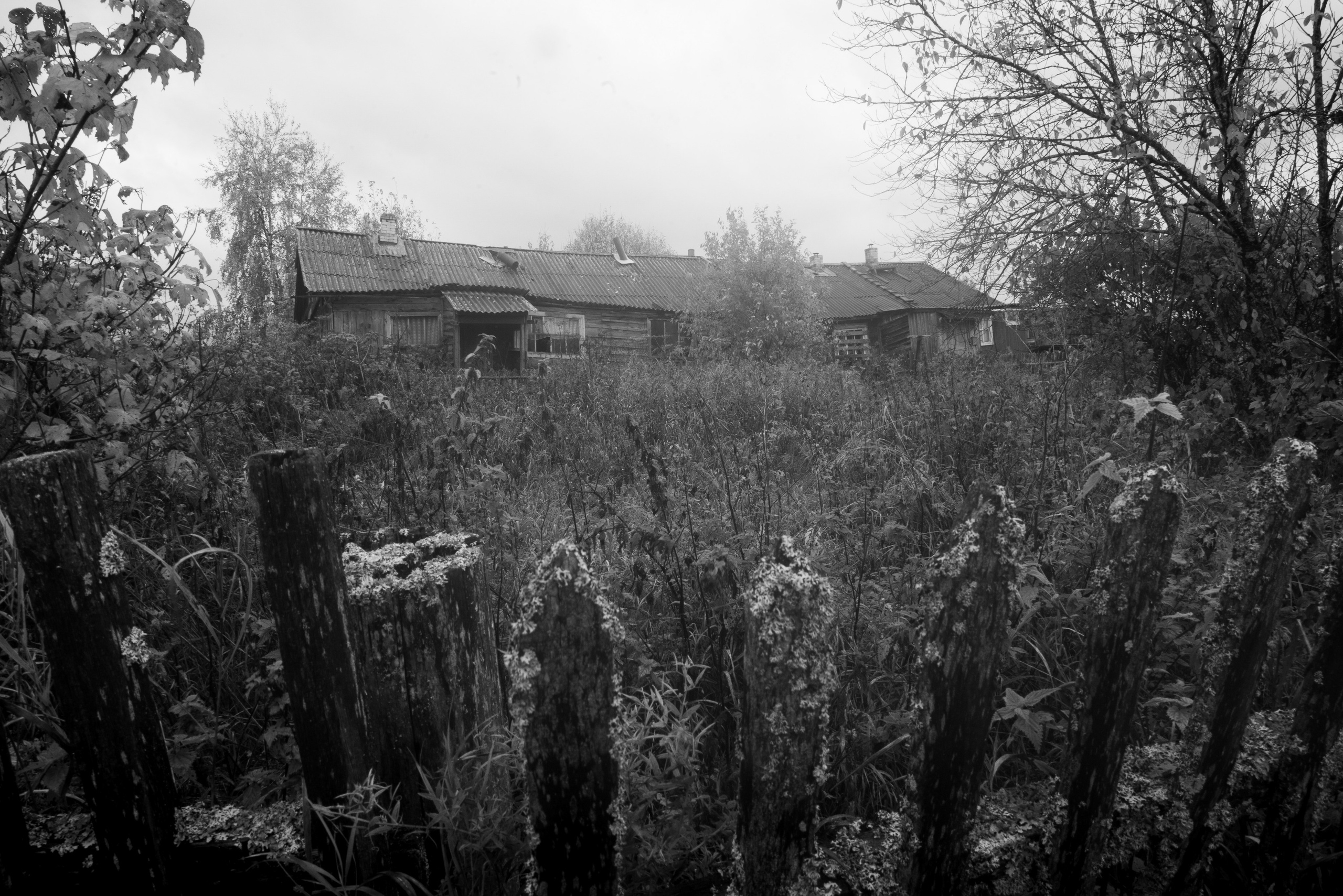 Деревня / Север II. Фотограф Антон Денисенко: Портрет, Документалистика, Пейзаж. Москва