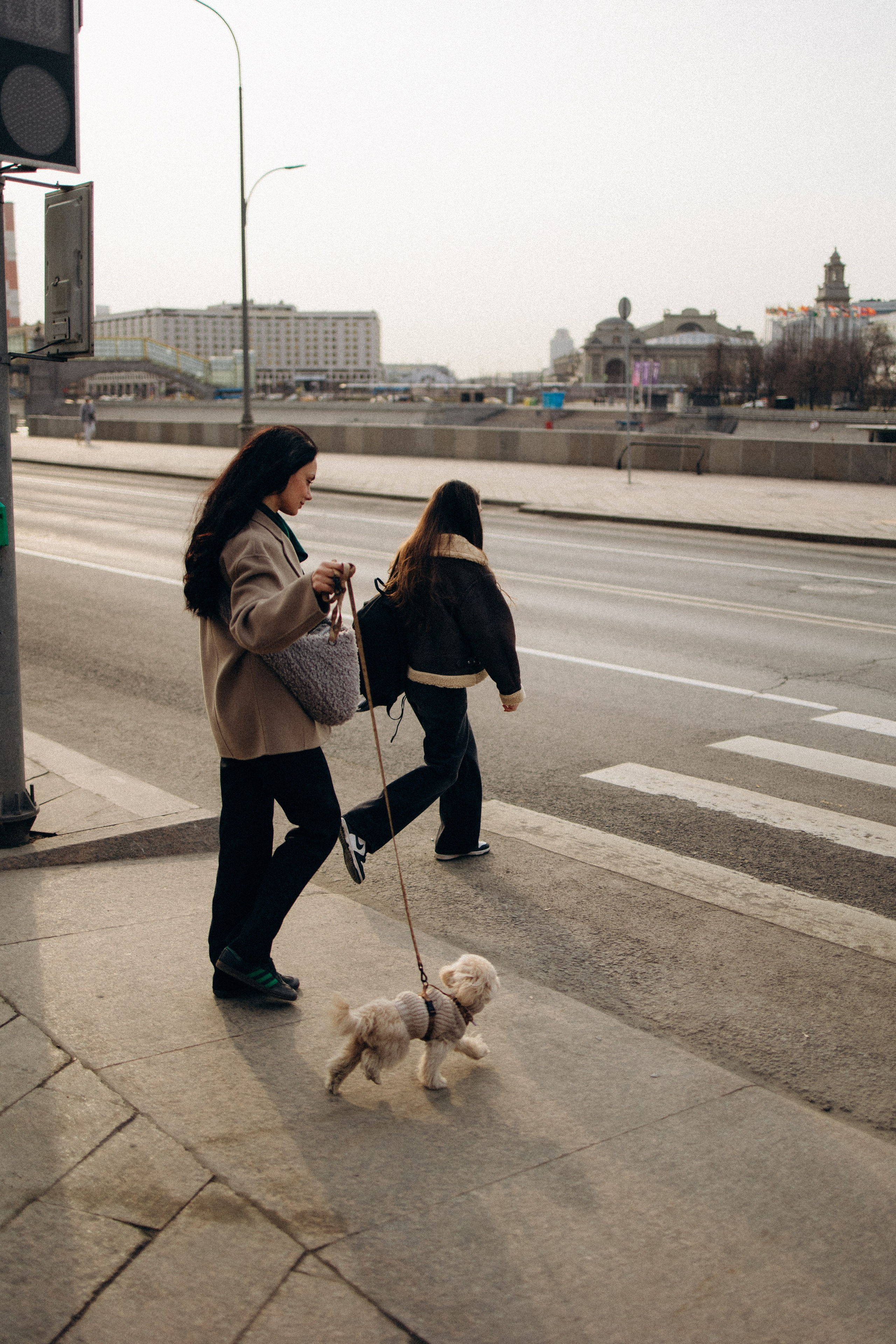Маша, Лиза и Луна. Фотораф — анималист Мария Шистка