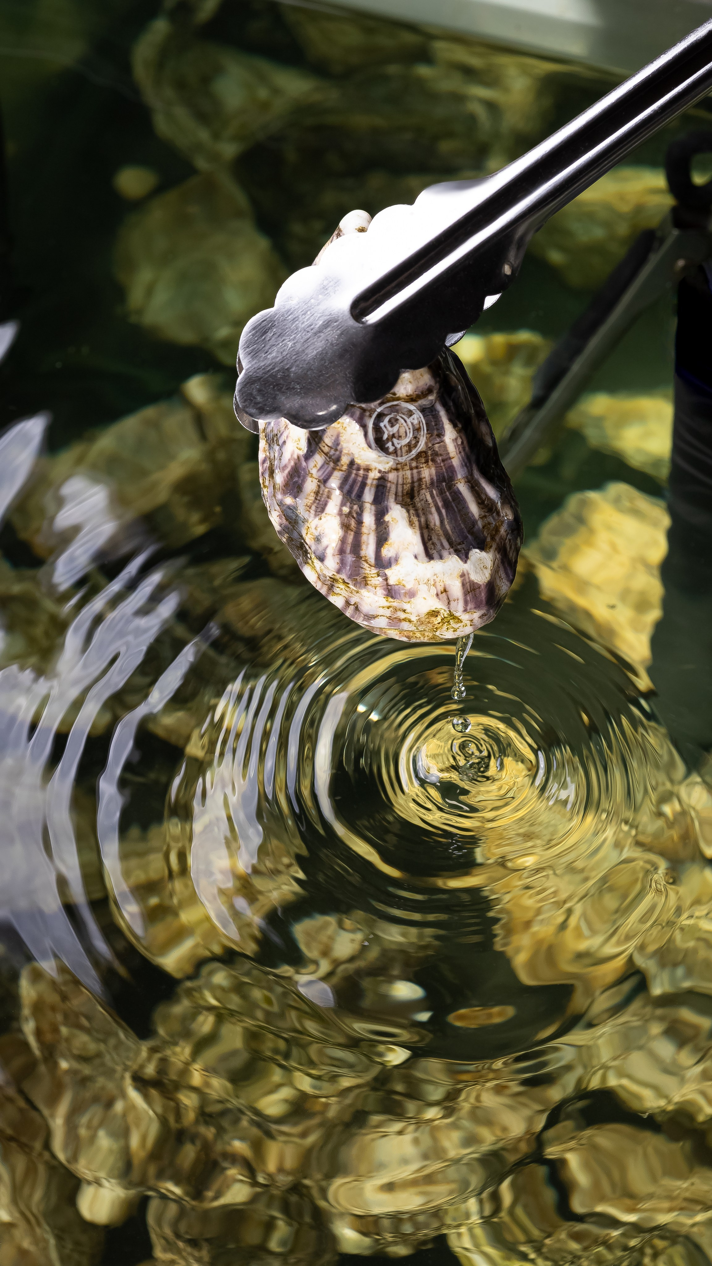 Фото блюд и еды в Астане. Рекламный фуд фотограф и видеограф в Астане Алина Лысенко