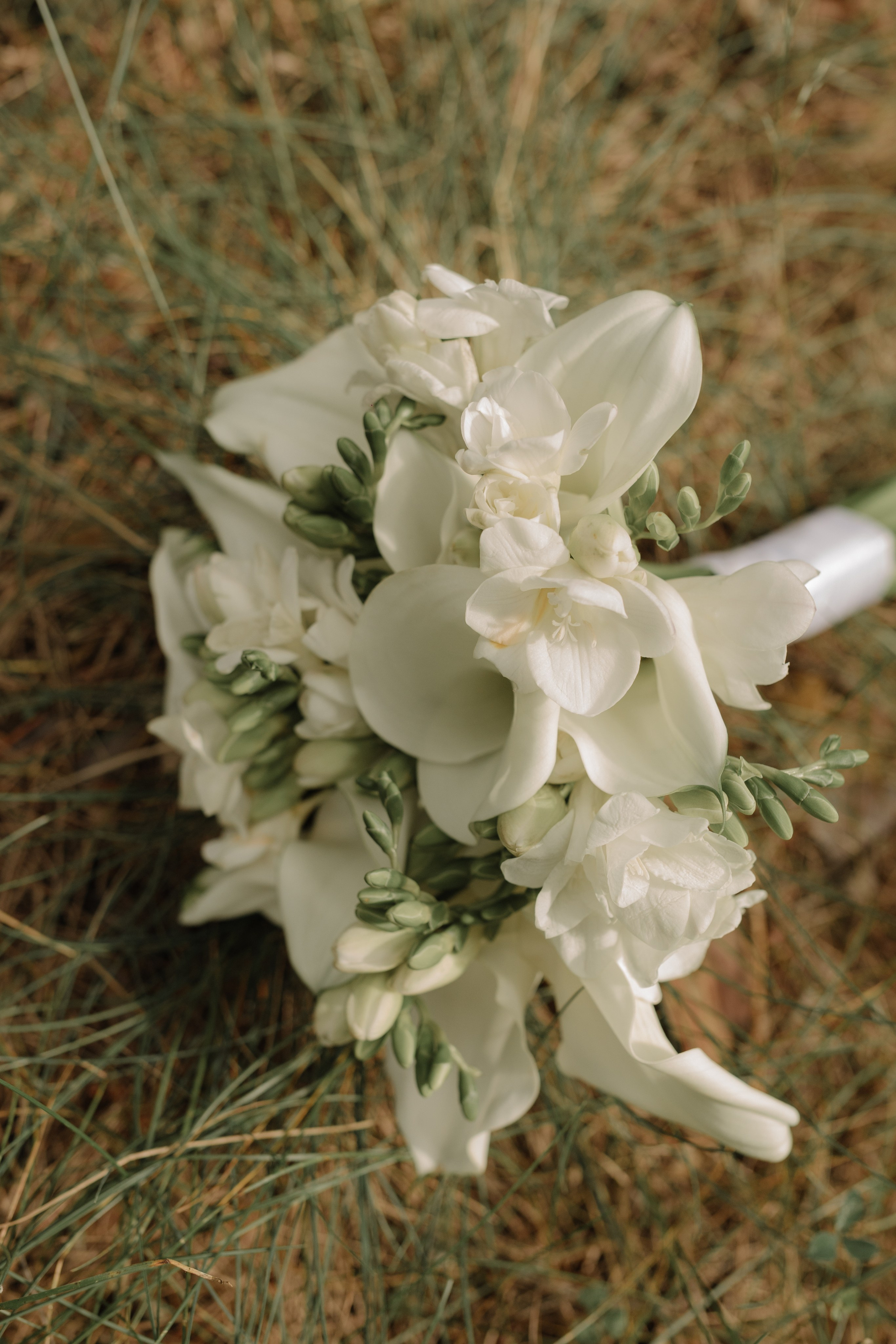 Родион и Валенина. Семейный фотограф в Обнинске