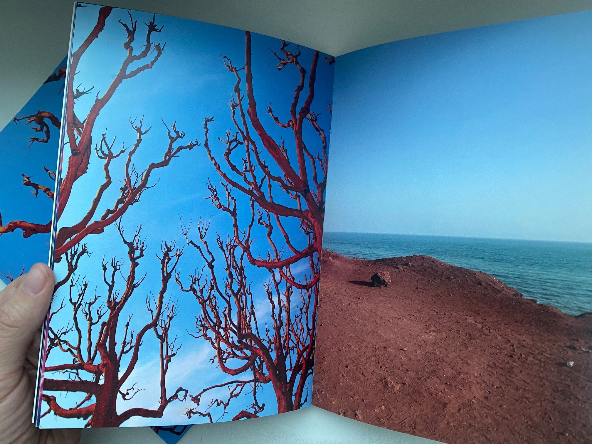 Бег во сне зин. Artist Anna Snegina Художница Анна Снегина