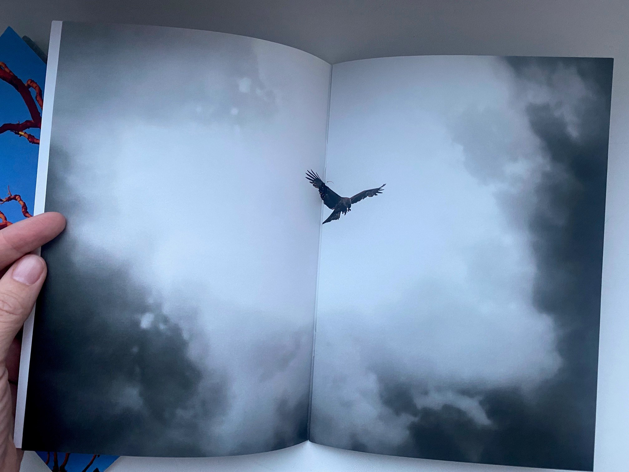 Бег во сне зин. Artist Anna Snegina Художница Анна Снегина