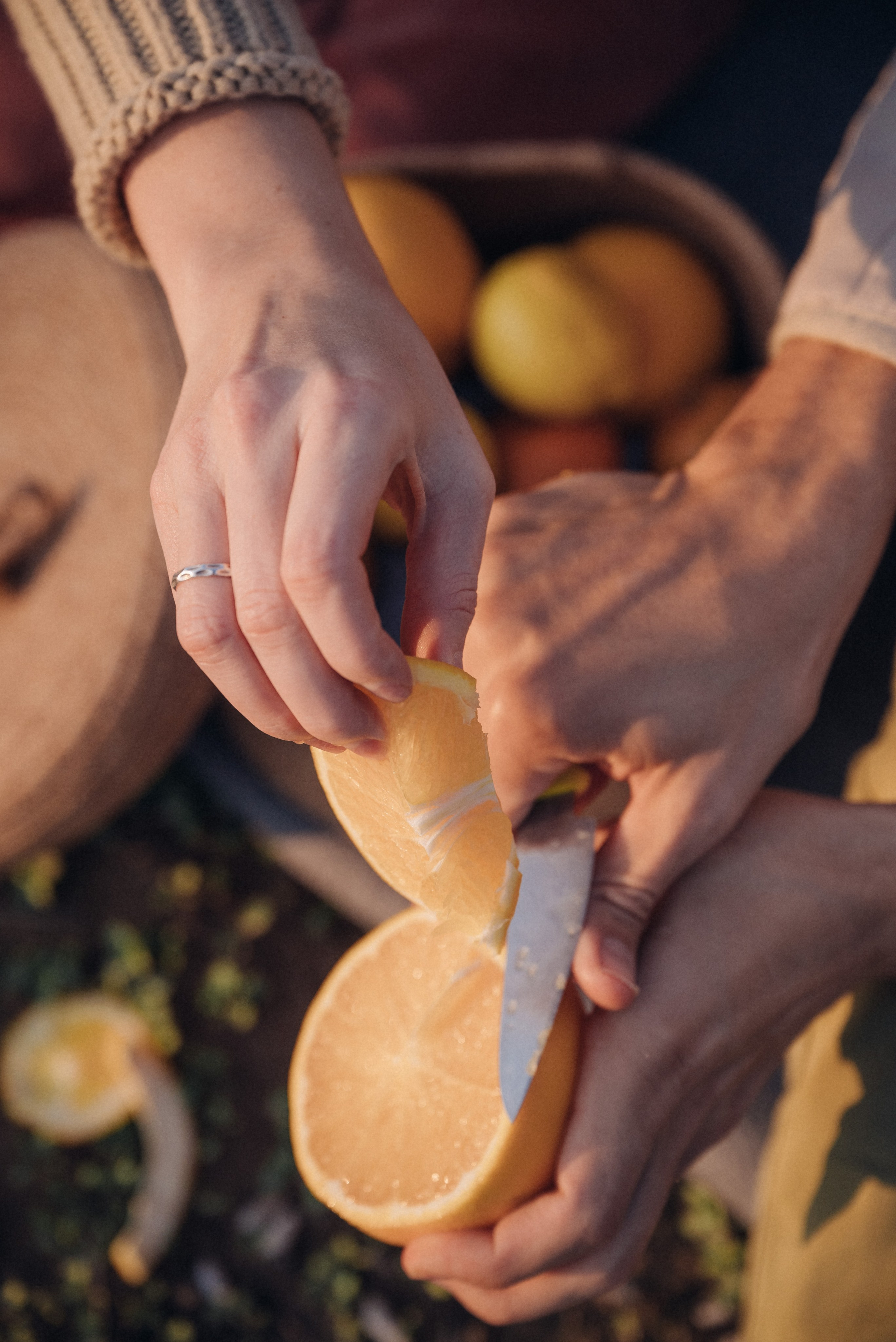 Сбор урожая. Анна Лобанова | фотограф