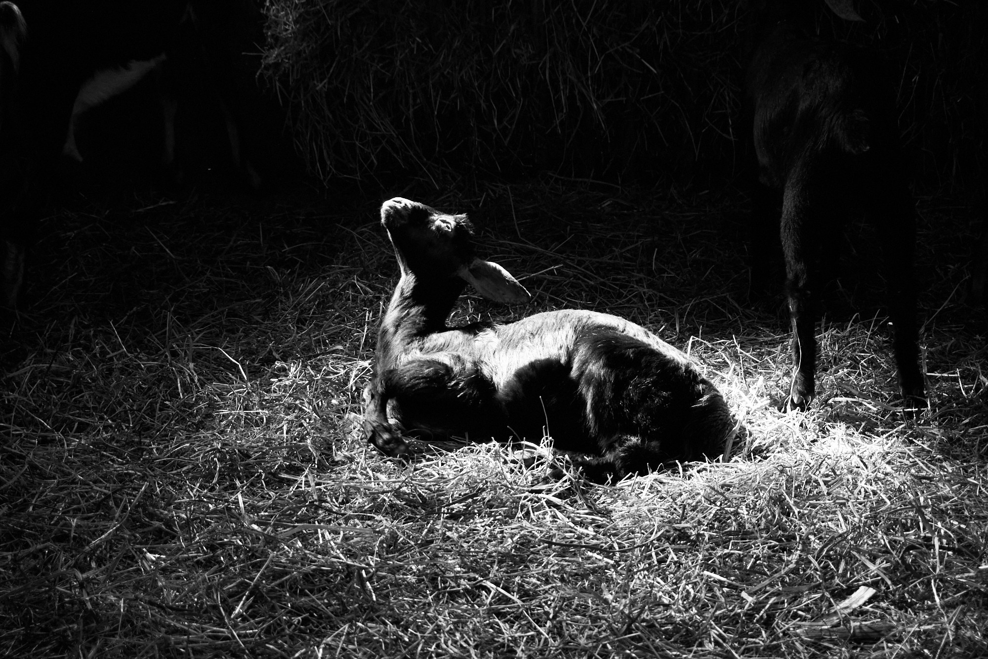 Фотограф Гундров Эдуард