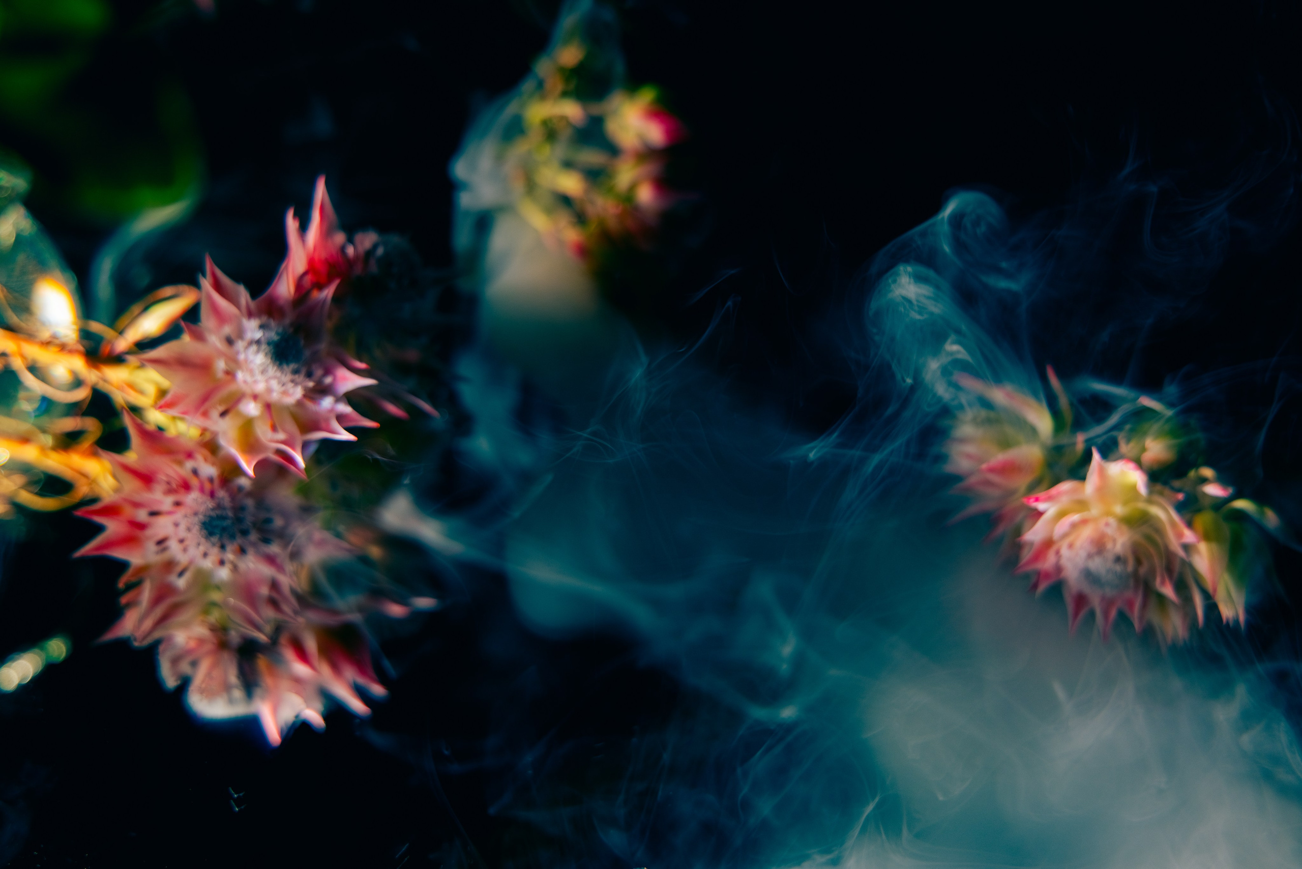 Self. Портретный фотограф Юлия Дроздова | Санкт-Петербург | Москва