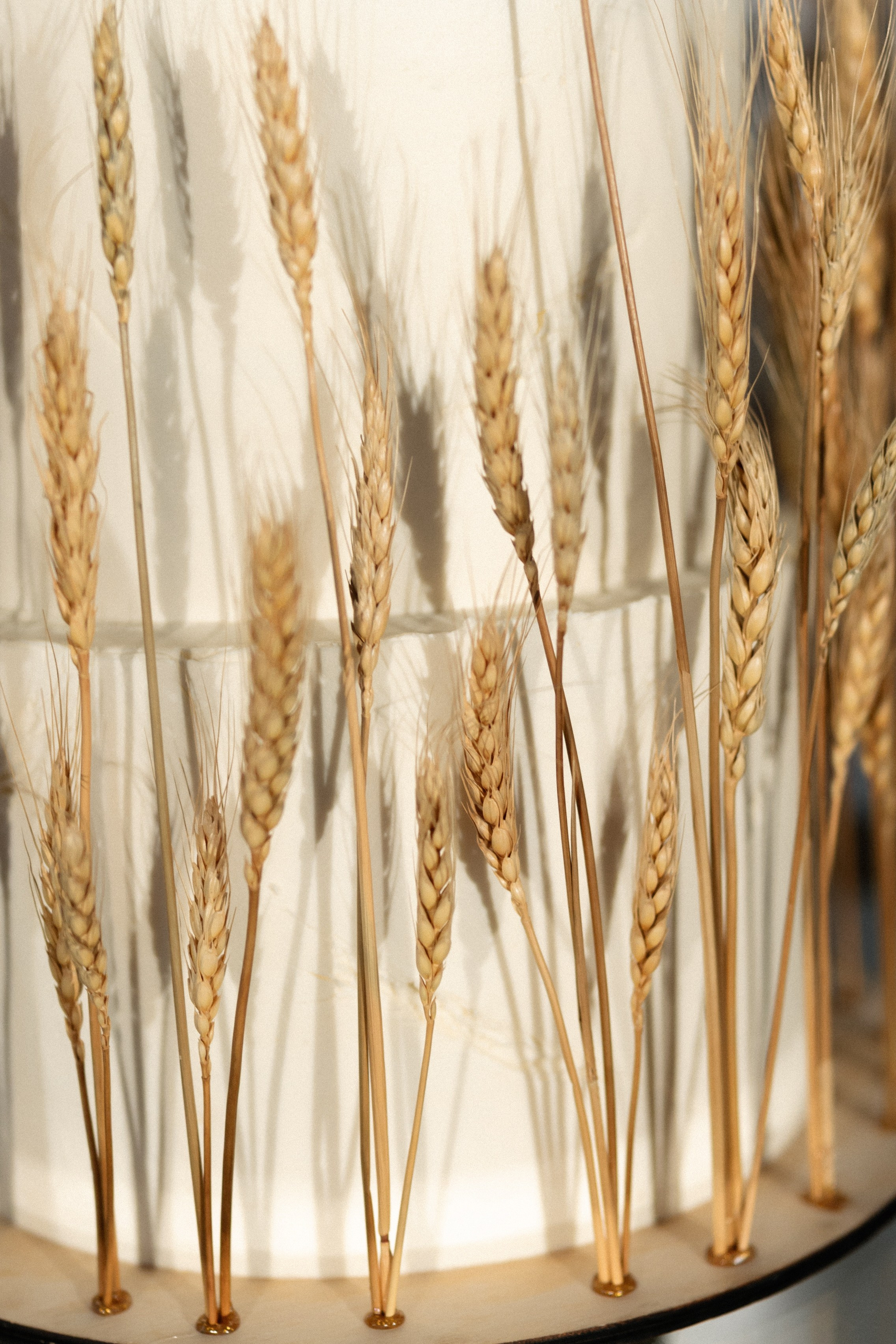 Макс и Настя. Ланемец Юлия — фотограф Волгоград/Волжский