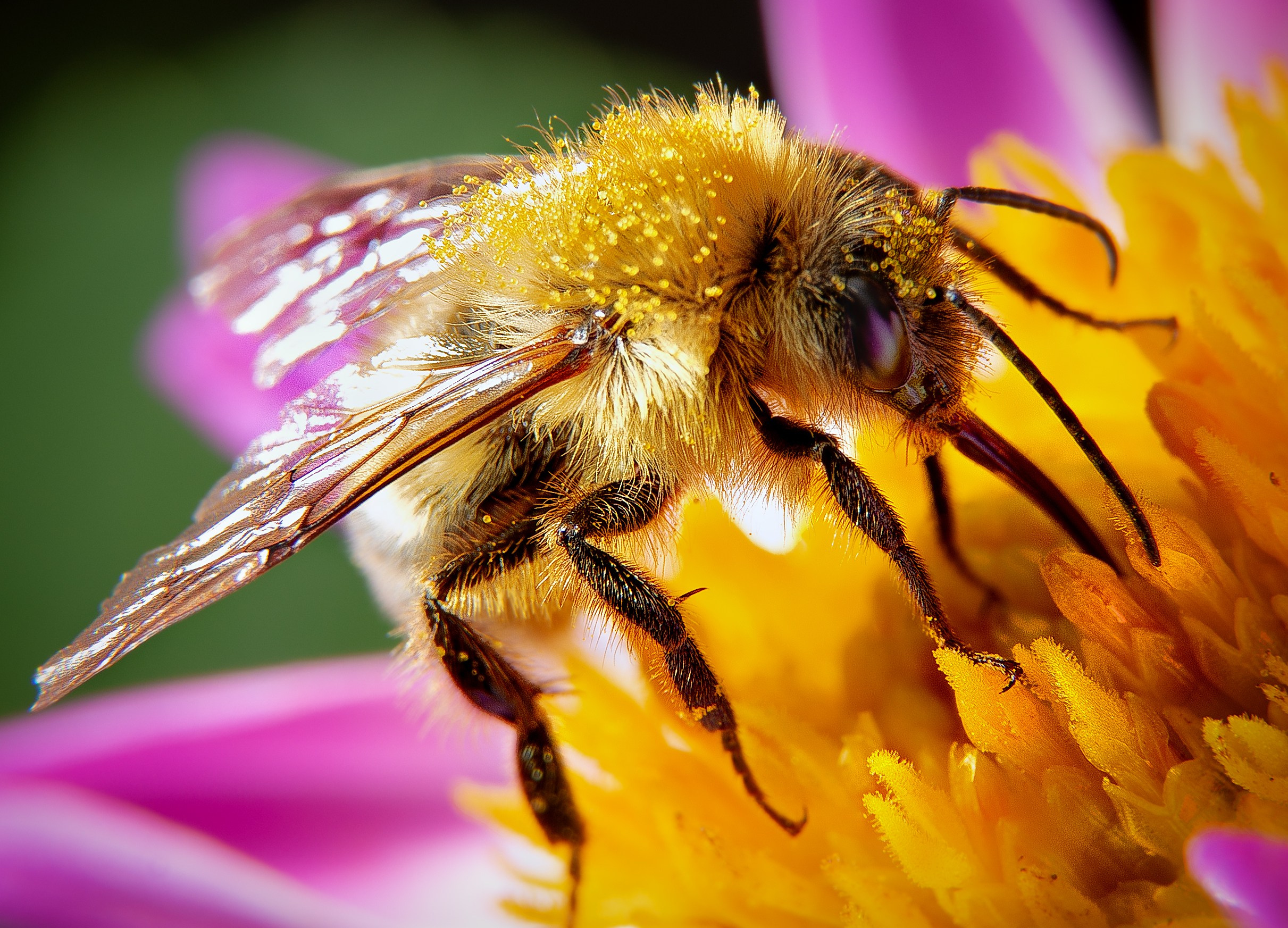 Рекламная фотография в Хабаровске. Фотография в Хабаровске фотограф Александр Давыденко