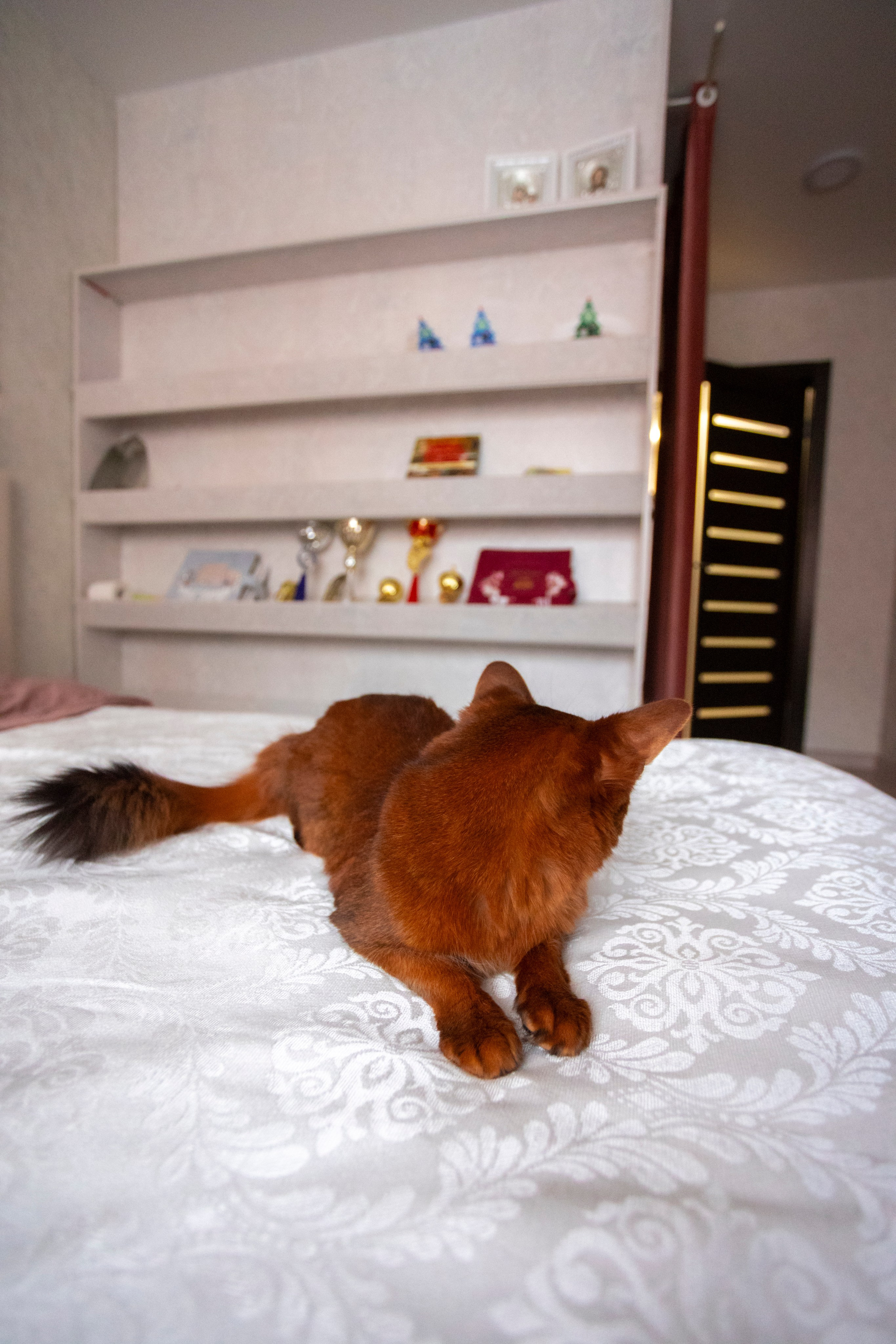 Сомали. Art my Pho