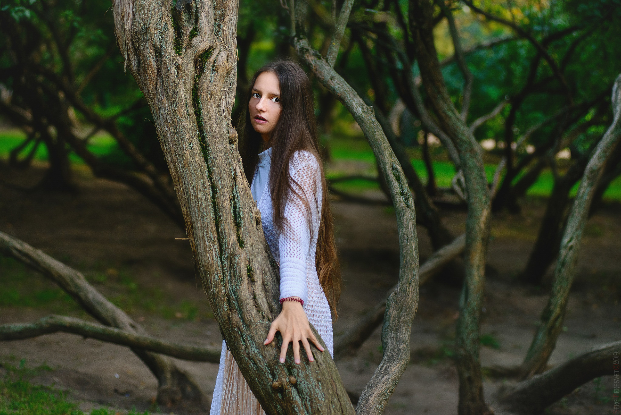 Фотосессия для девушек на природе в Москве - фотограф Сергей Пересвет. Ваш фотограф на праздник в Москве, Раменском, Жуковском, Люберцах