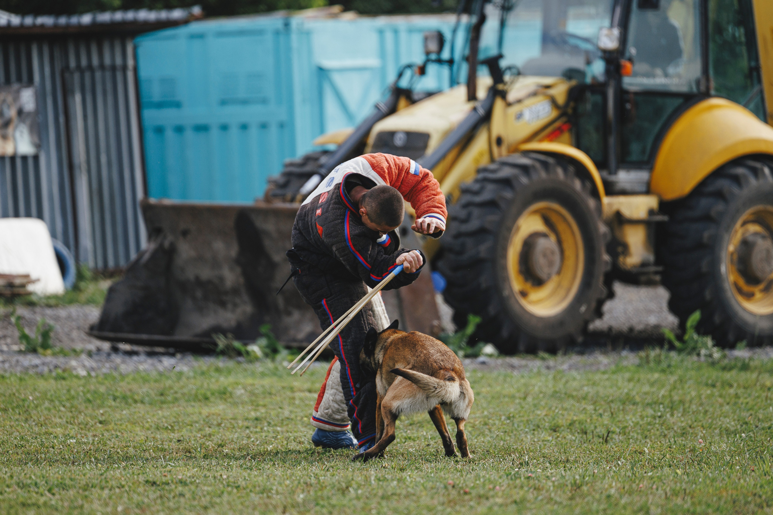08.08.25-10.08.25 ЧР по мондьорингу г. Вологда. Фотограф-анималист Анна Маринич