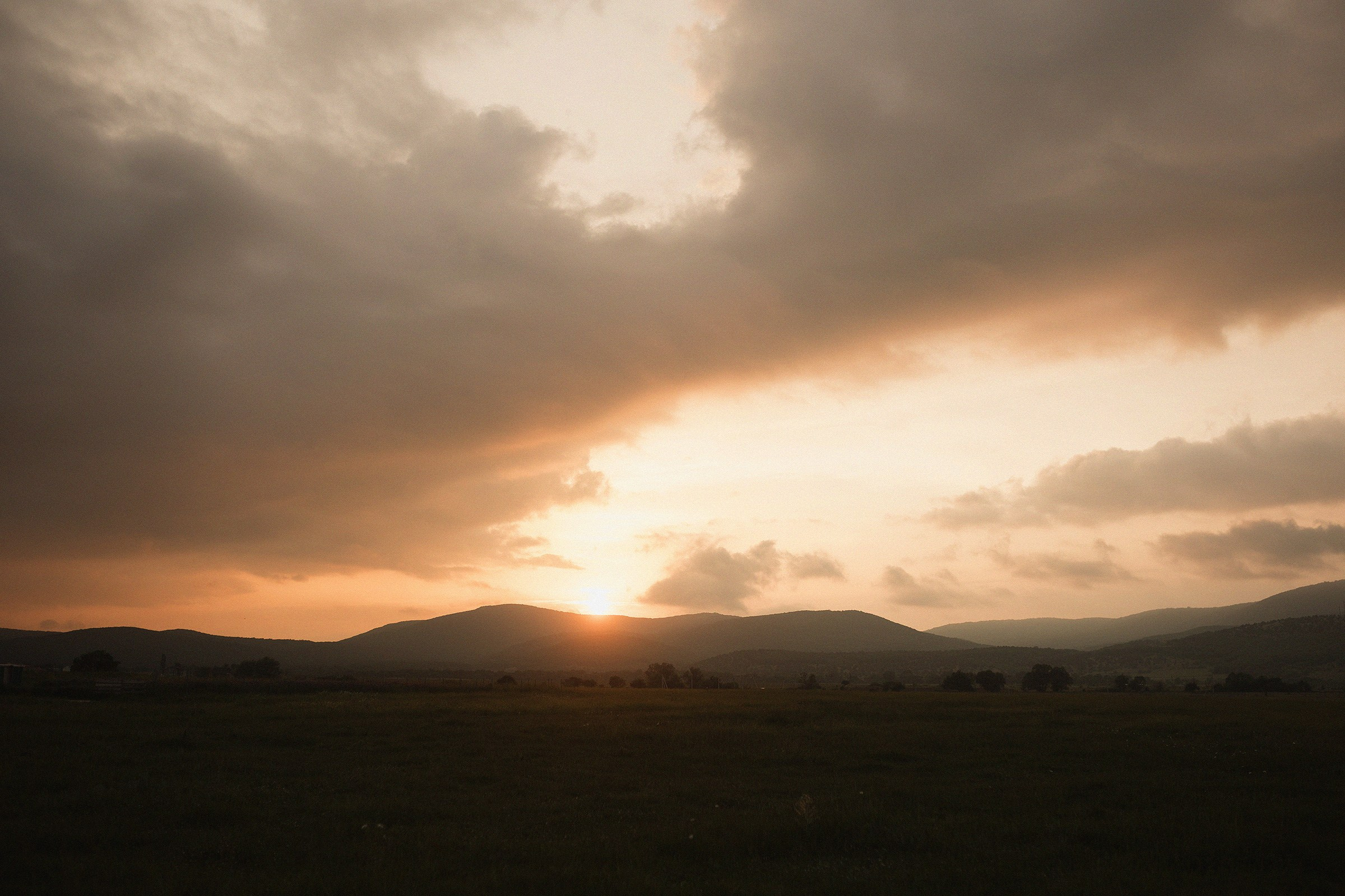 Наша ромашка. Sovushka DS