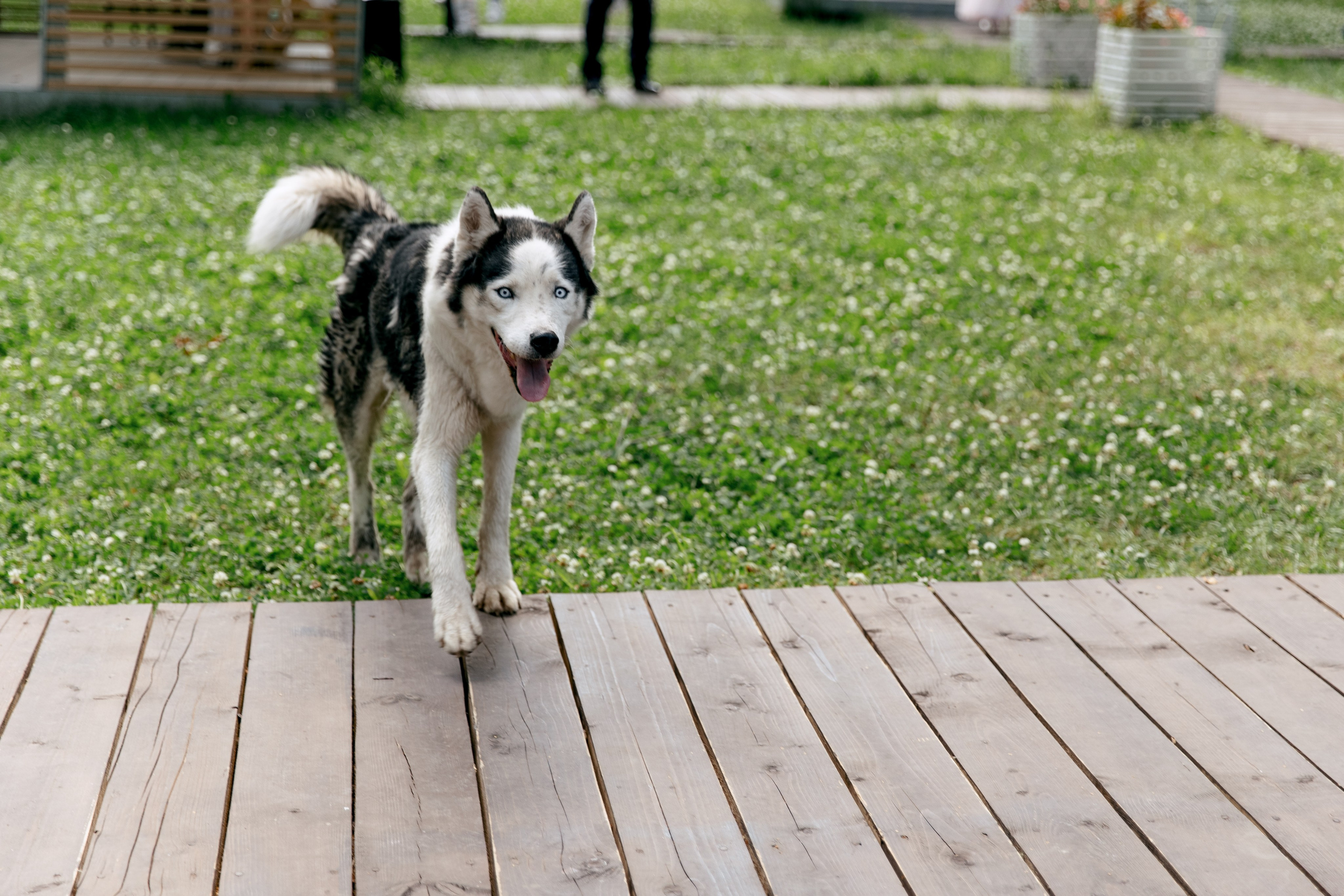 Артём и Саша. Свадебный и семейный фотограф в Туле и области Маша Костина