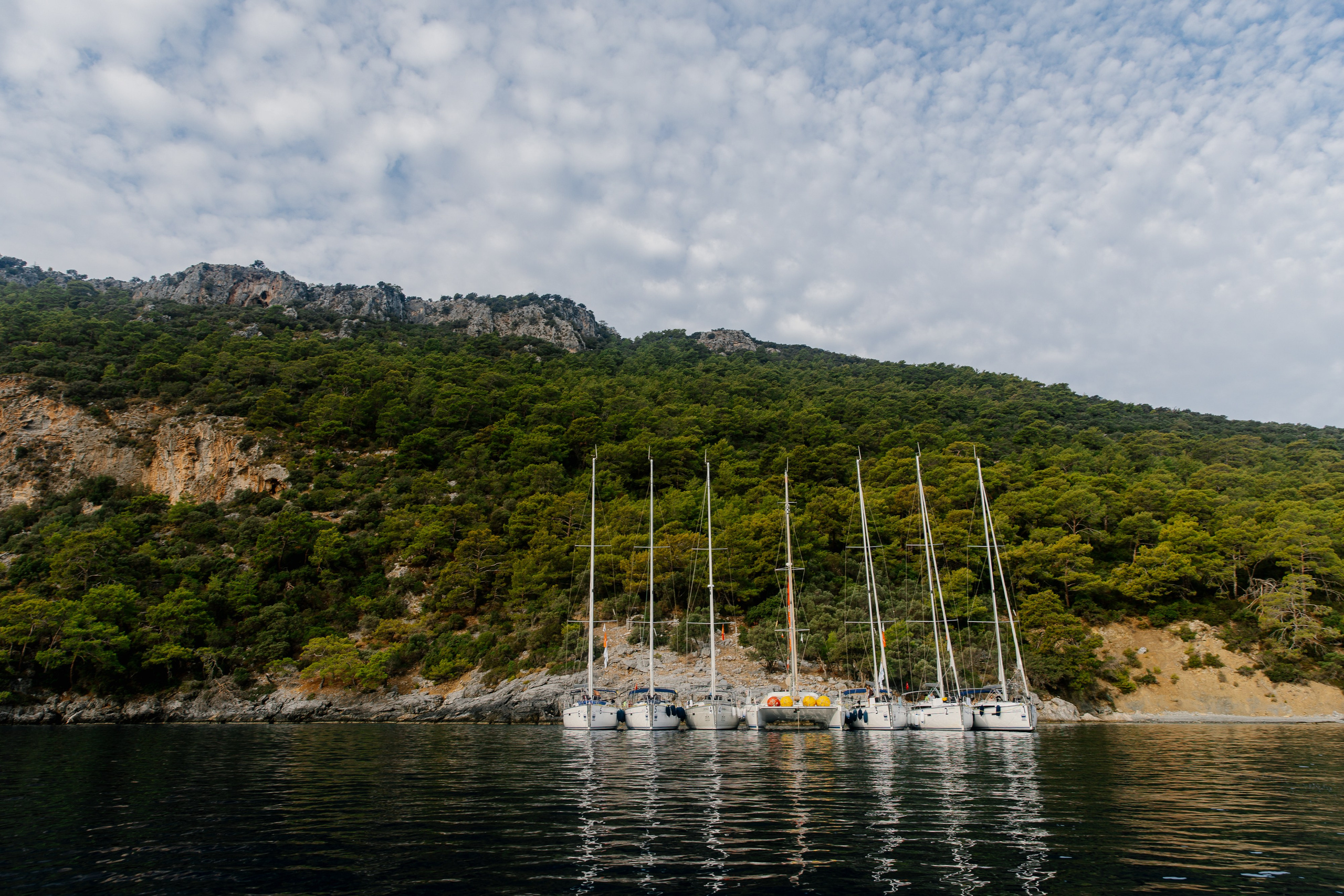 Фармрегата. Свадебный фотограф Москва Анна Шилова