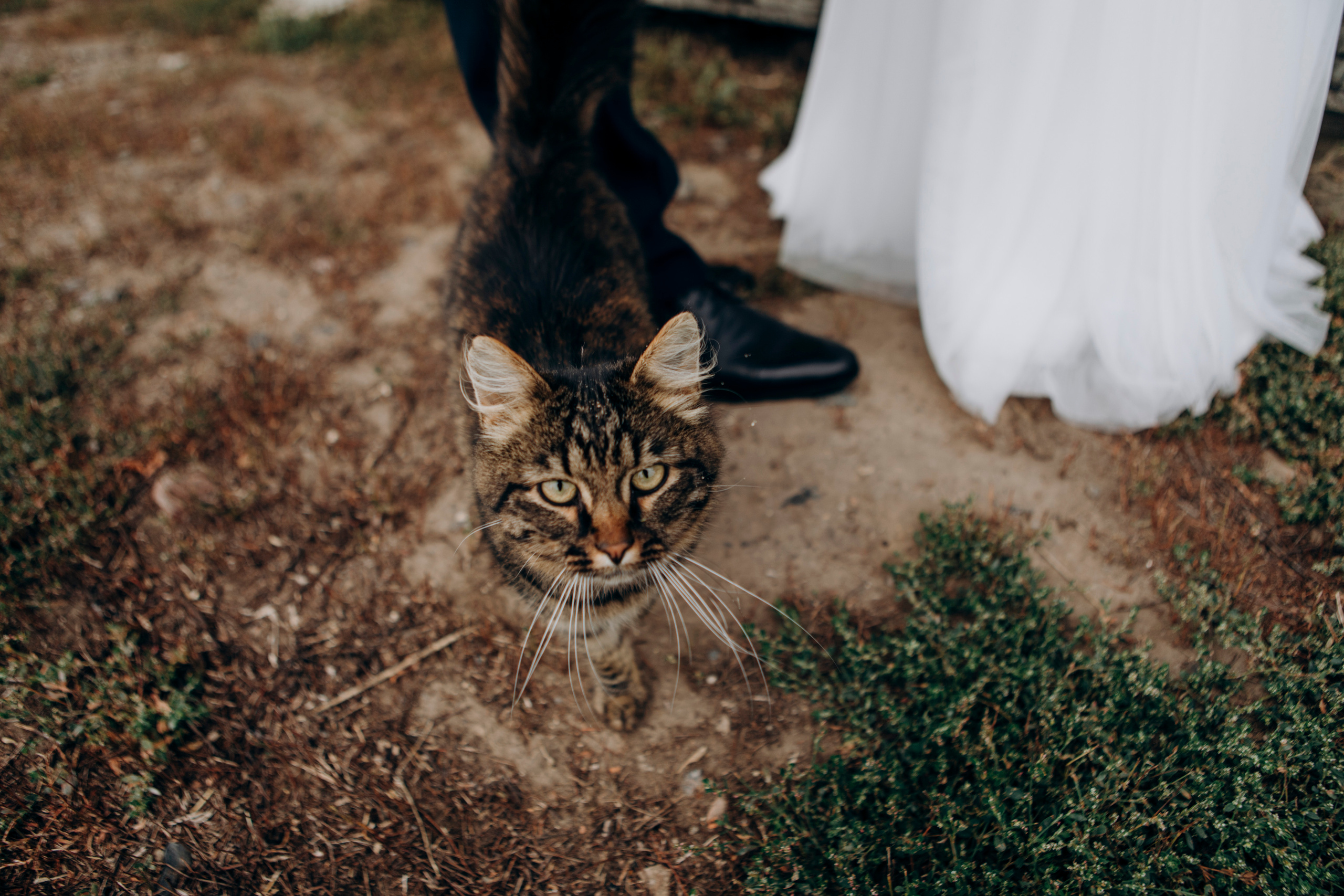 Надя Святослав. Свадебный и семейный фотограф Арестенко Анастасия