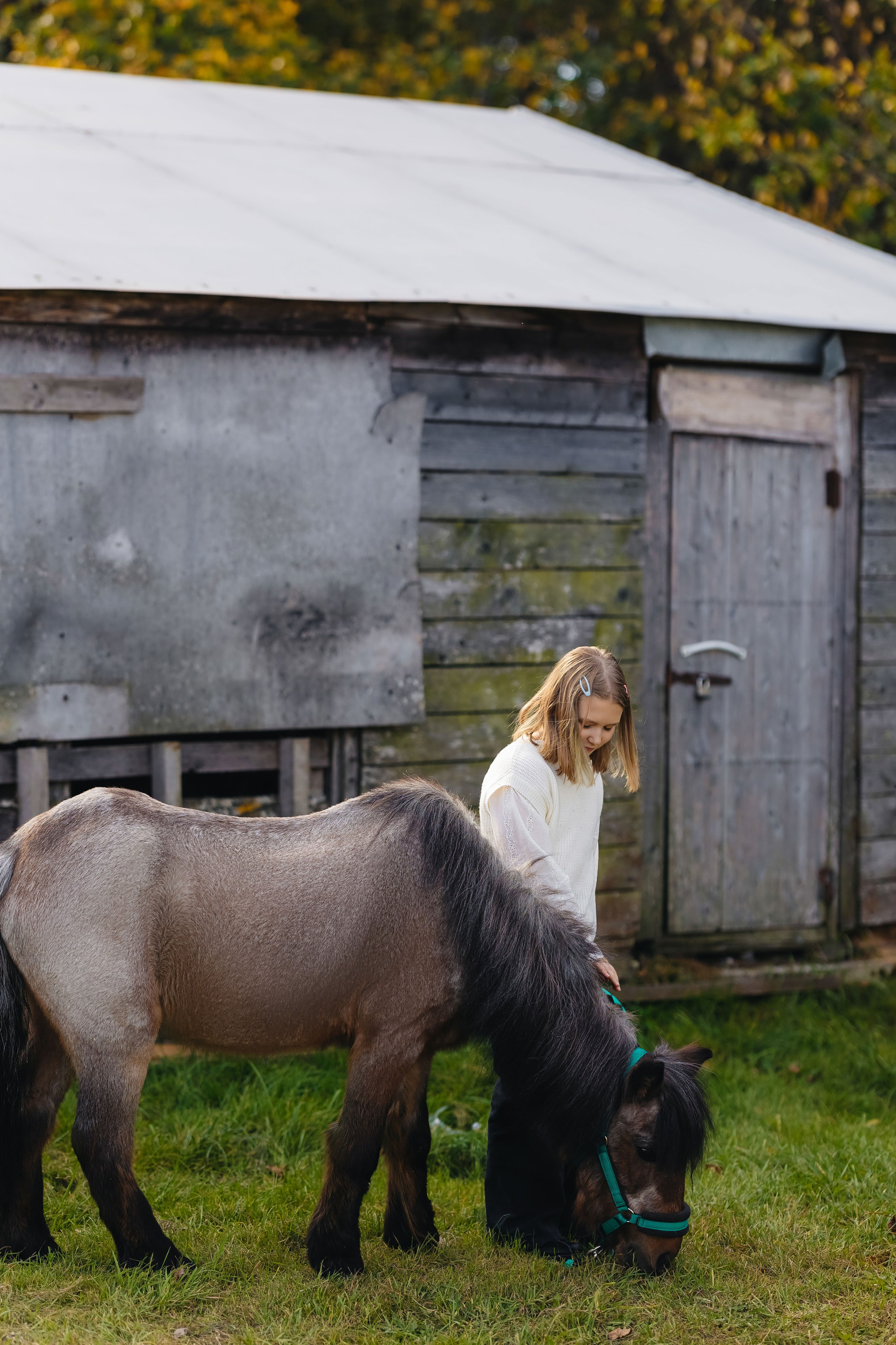 2024.10.02 Илья и лошадка. Ирина Бешляга. Фотограф в Москве и по всей России