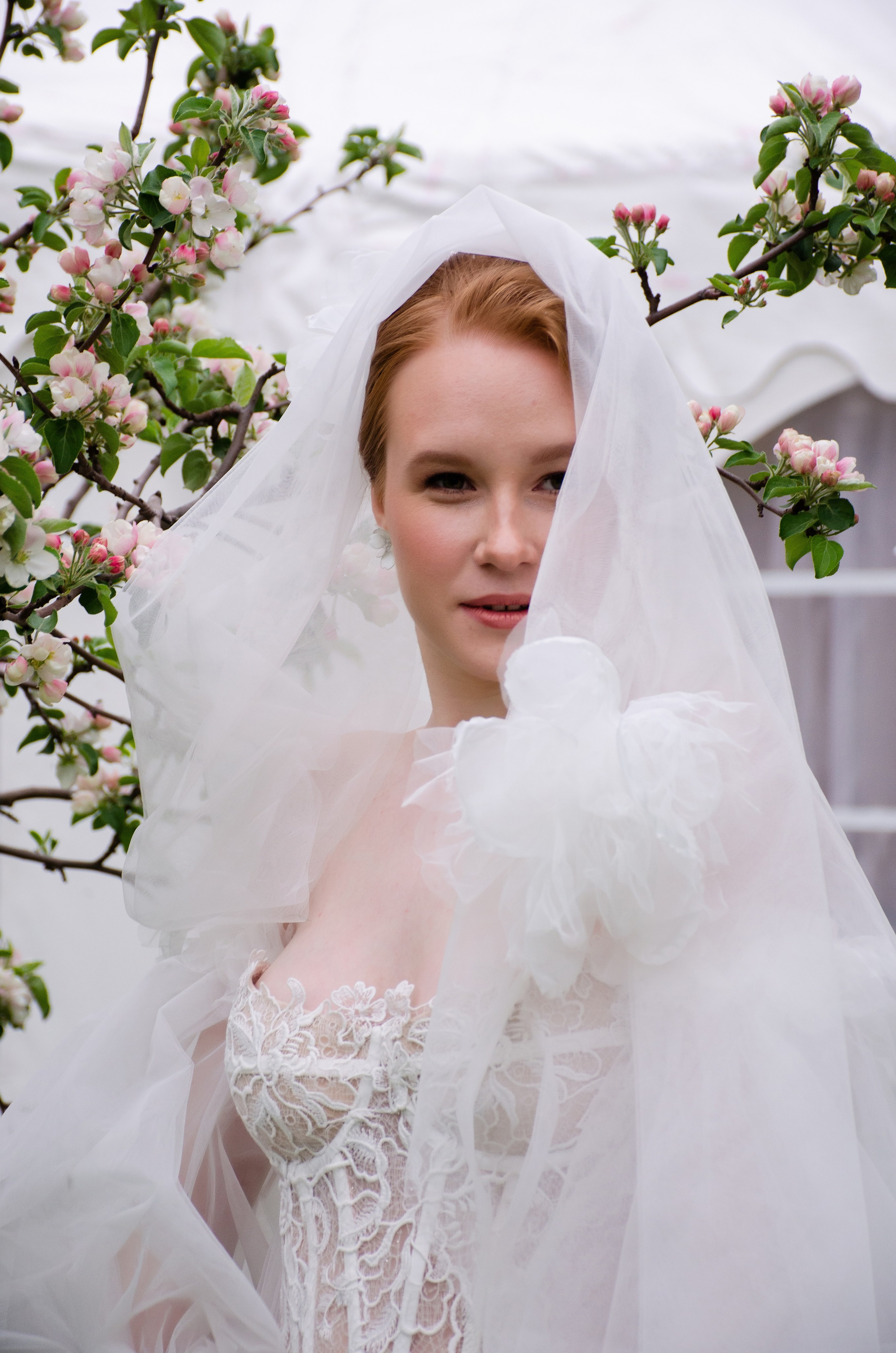 Фотосессии. Фотограф Универсал в Новосибирске