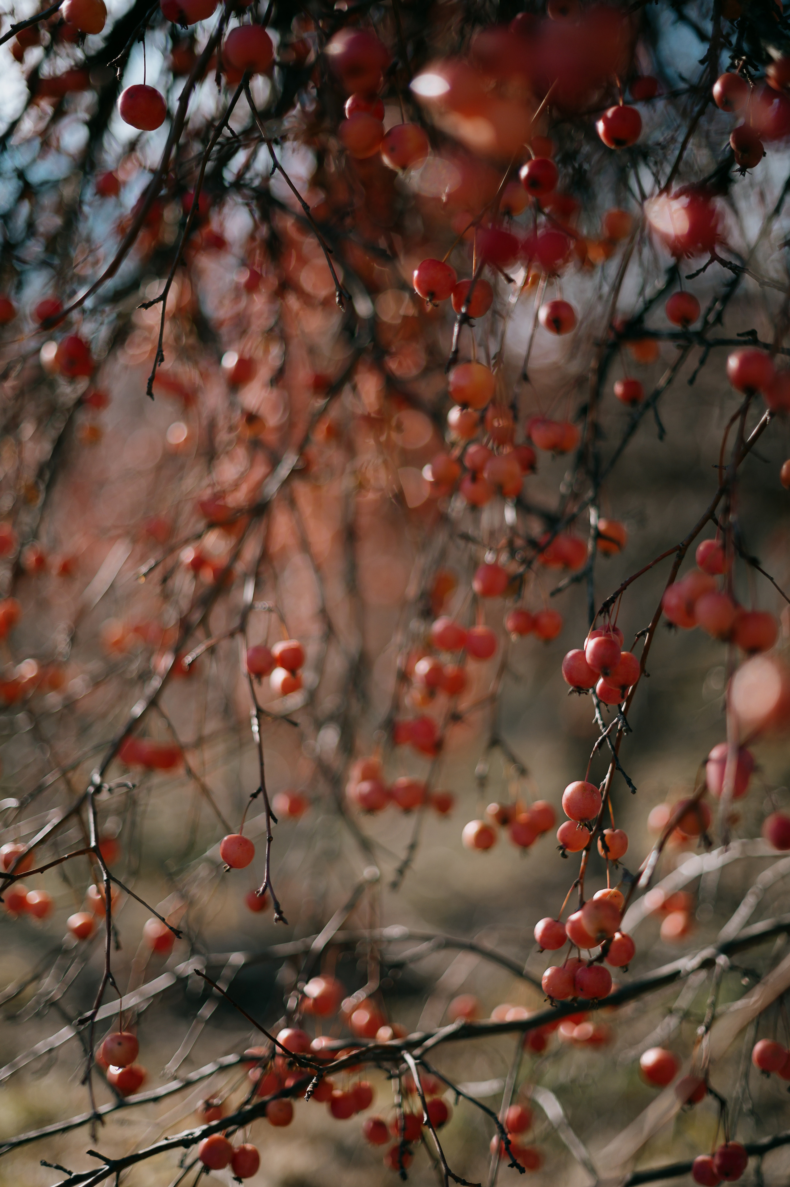 Малышевы. Фотограф Александр Смирнов