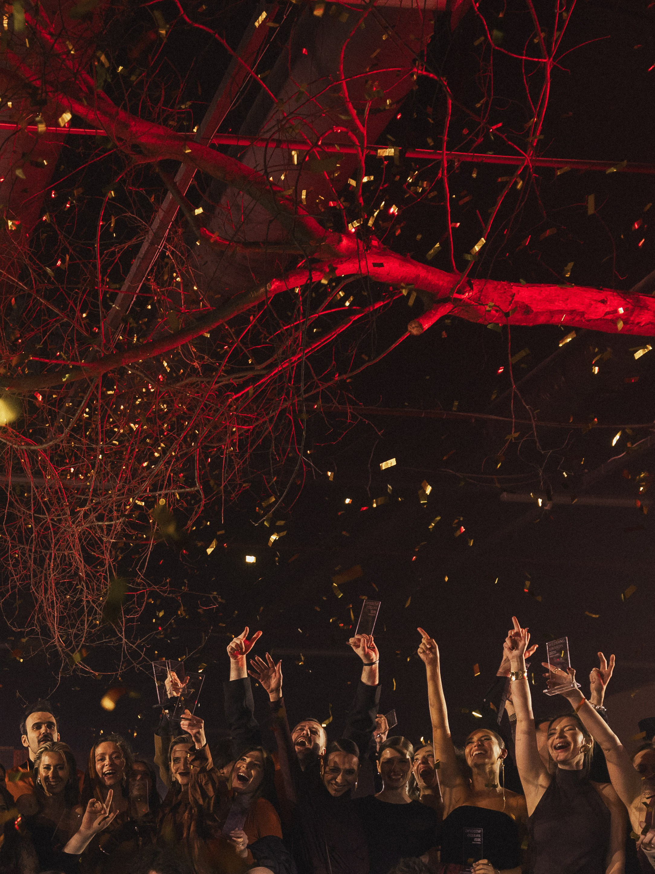 Wedding Awards NW 2025. NesterovaMaria.ru