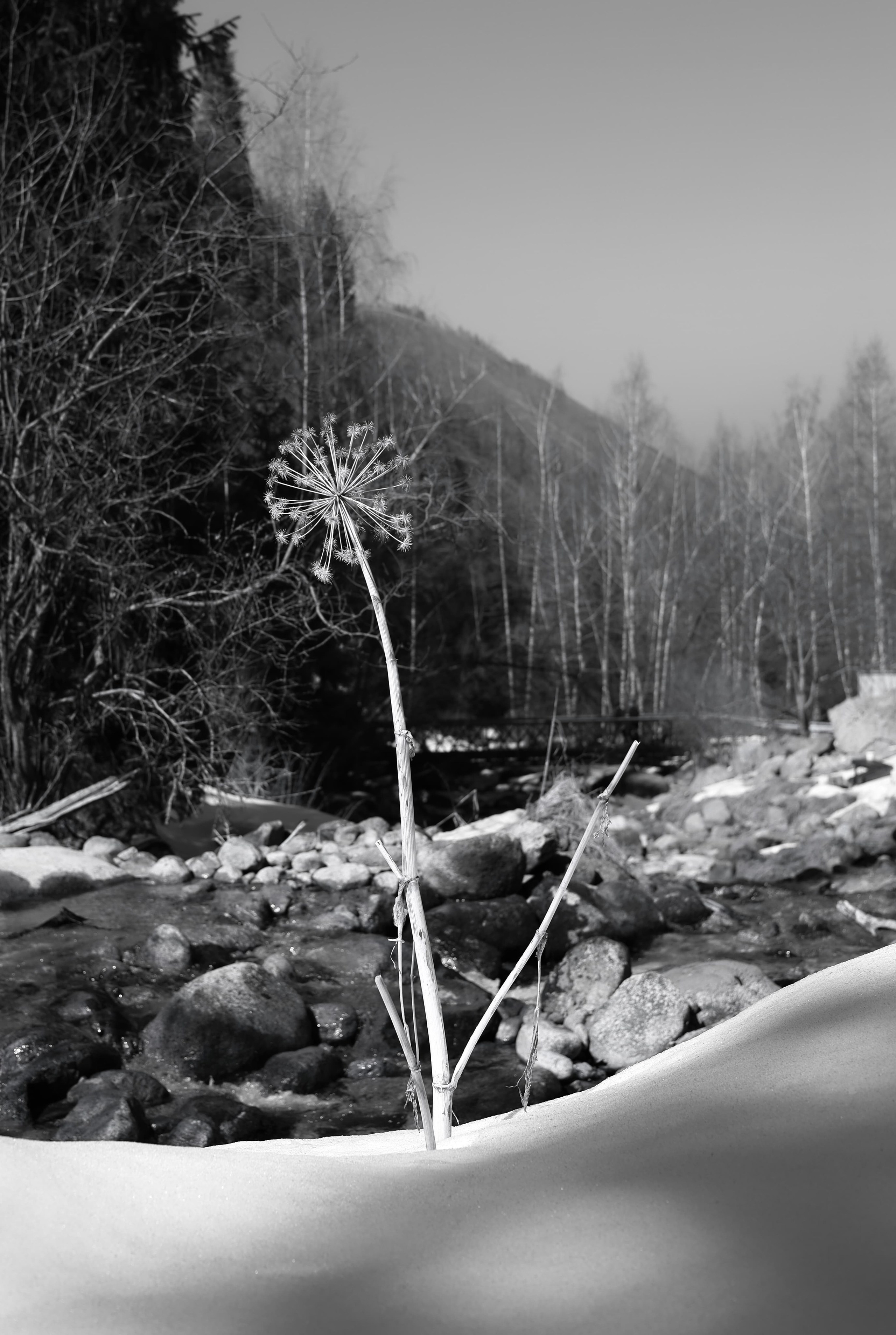 | Девичьи Слезы |. Фотограф |Алматы | Ruslan Zhadigerov