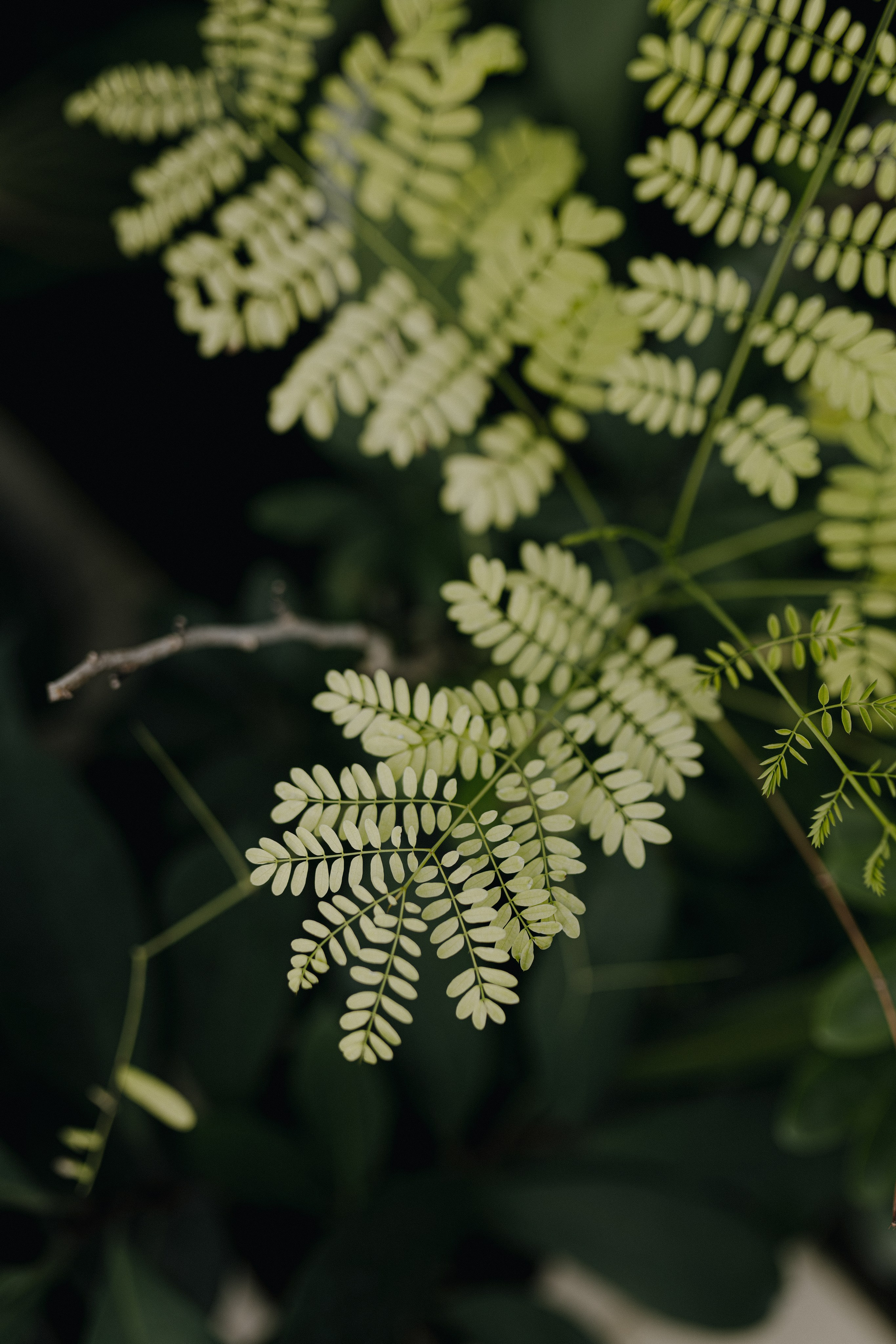 Свадьба Лены и Миши. Свадебный и семейный фотограф Женя Добрянская в Нижнем Новгороде